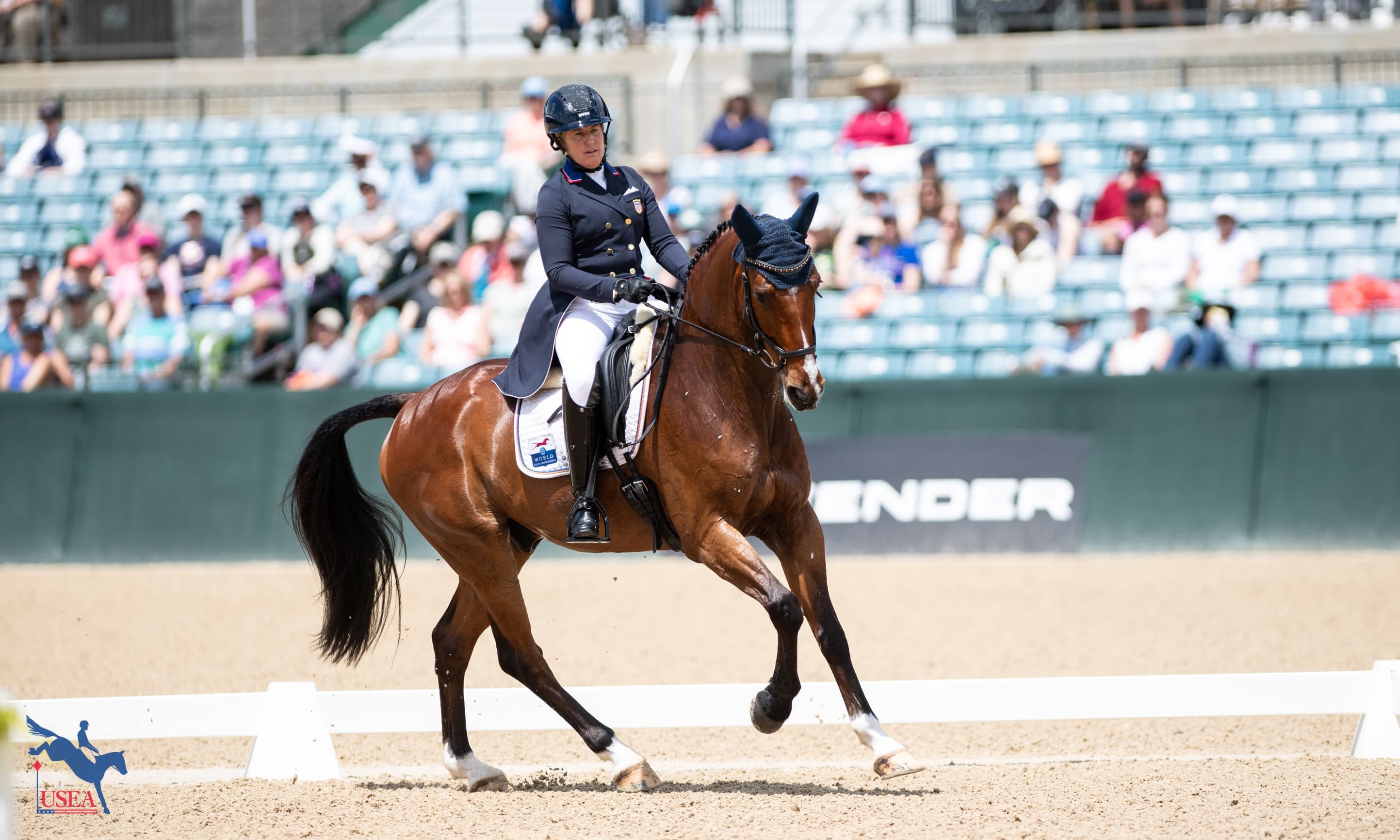 The 2026 K3DE Daily: Dressage Day 1