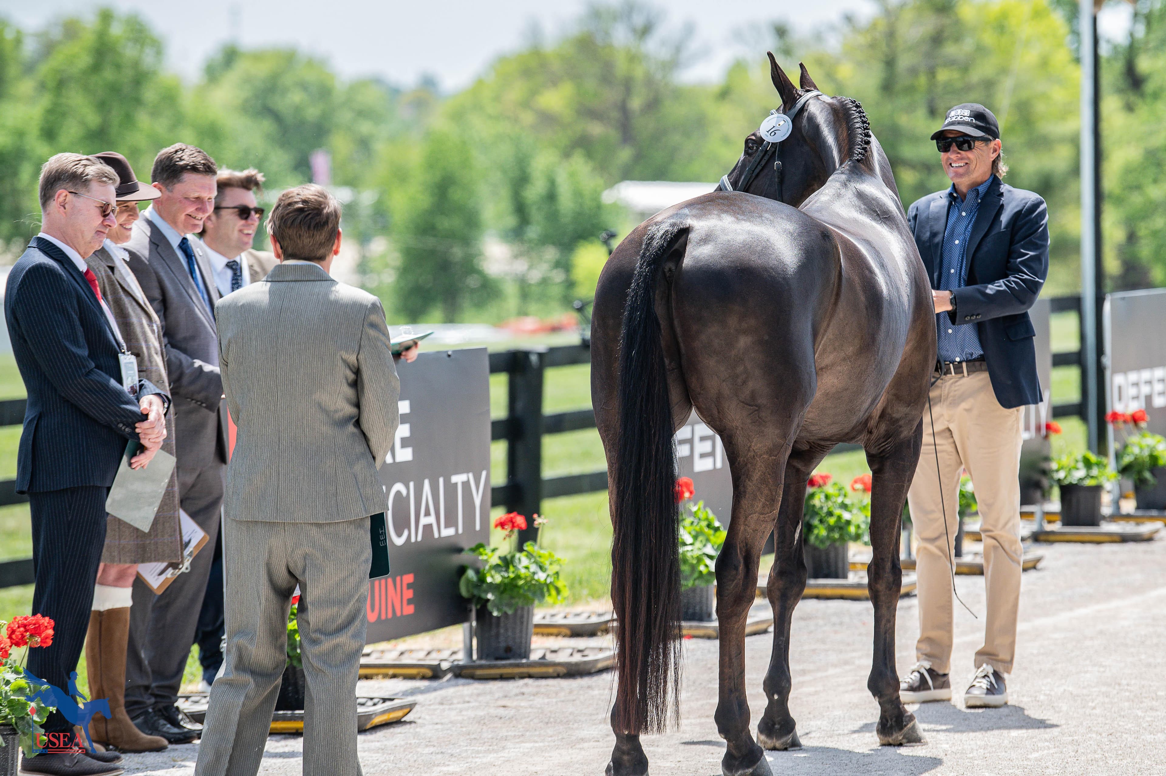 2026 K3DE | First Horse Inspection