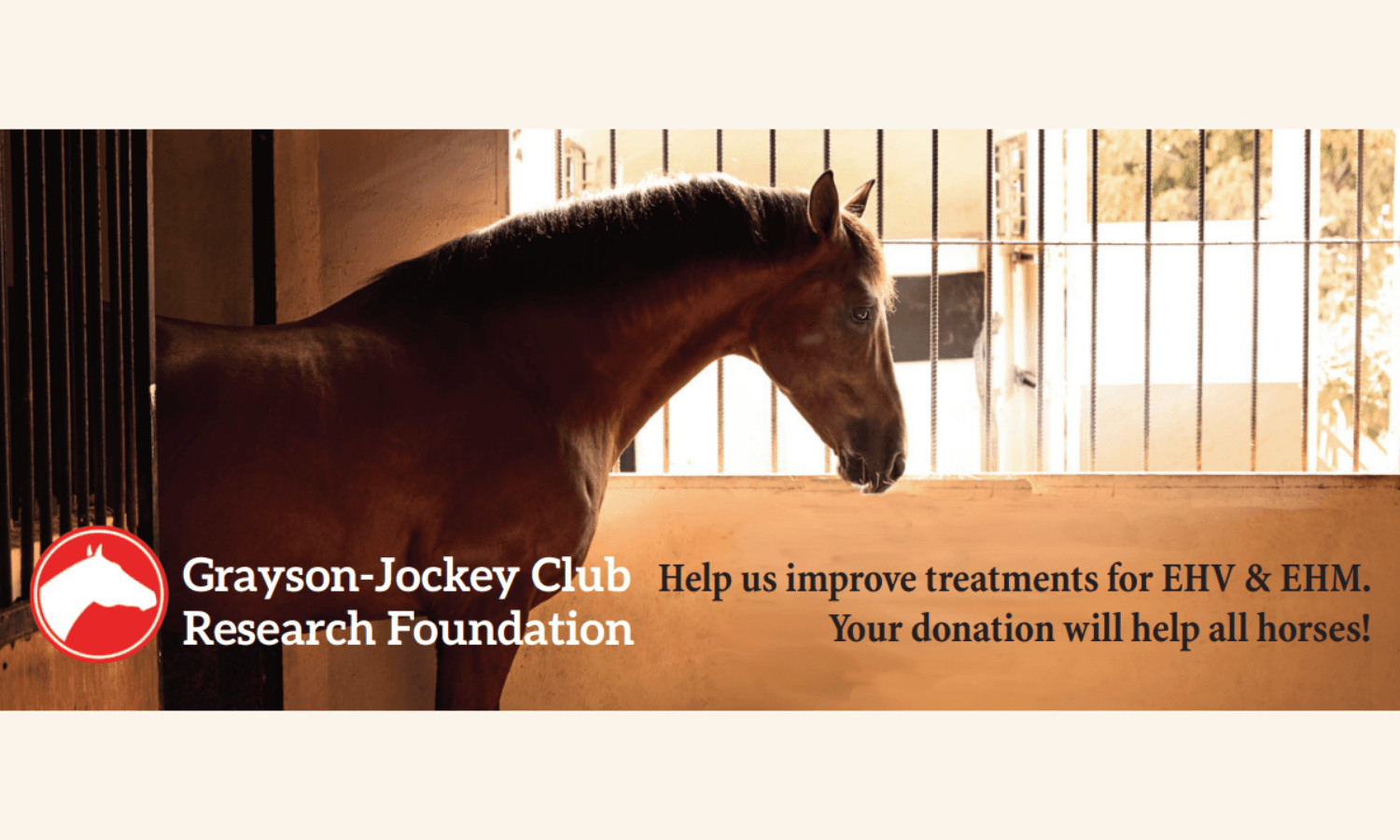 Mogey’s Story... An EHM Survivor