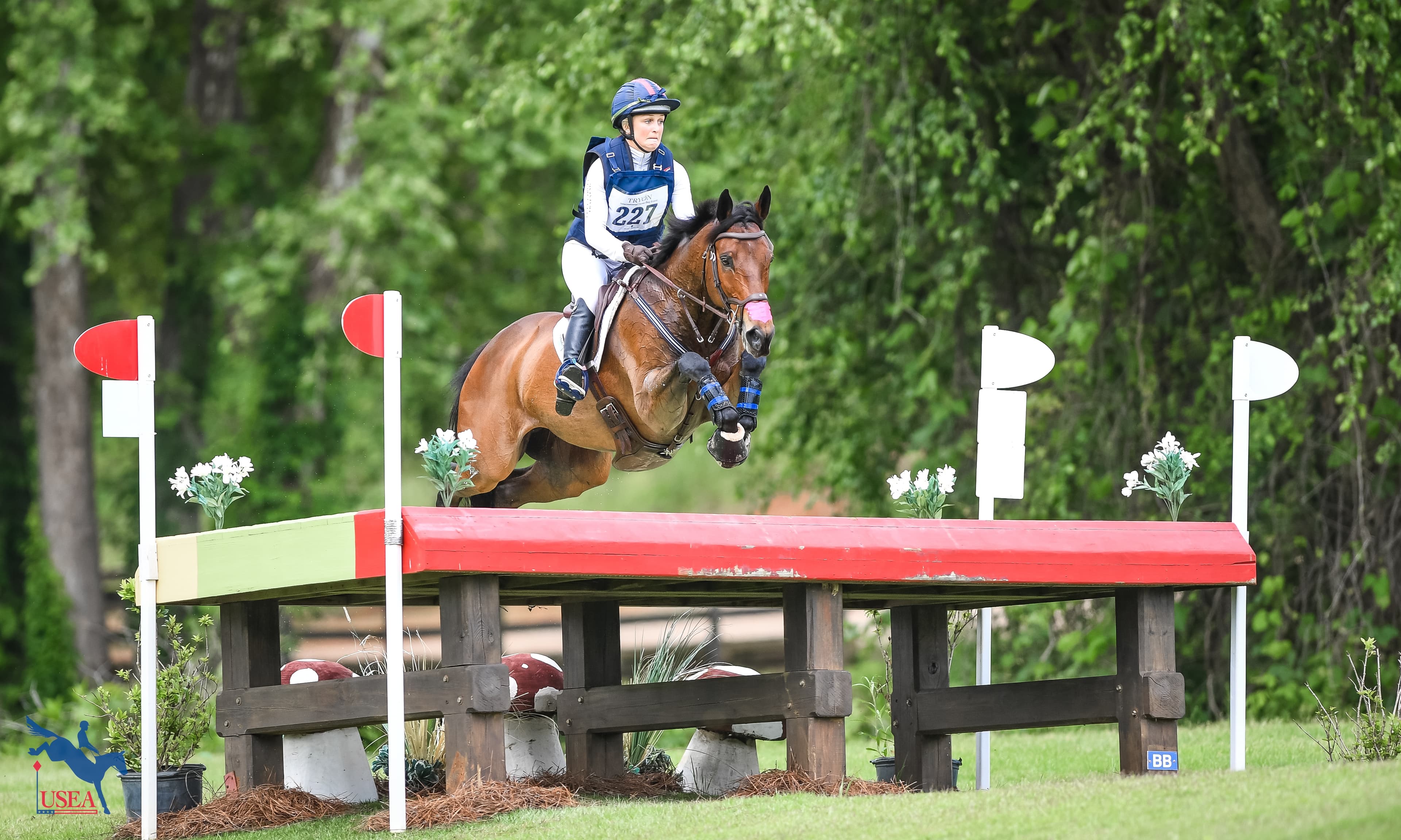 New Year: A Guide To USEA Online Tools And Resources