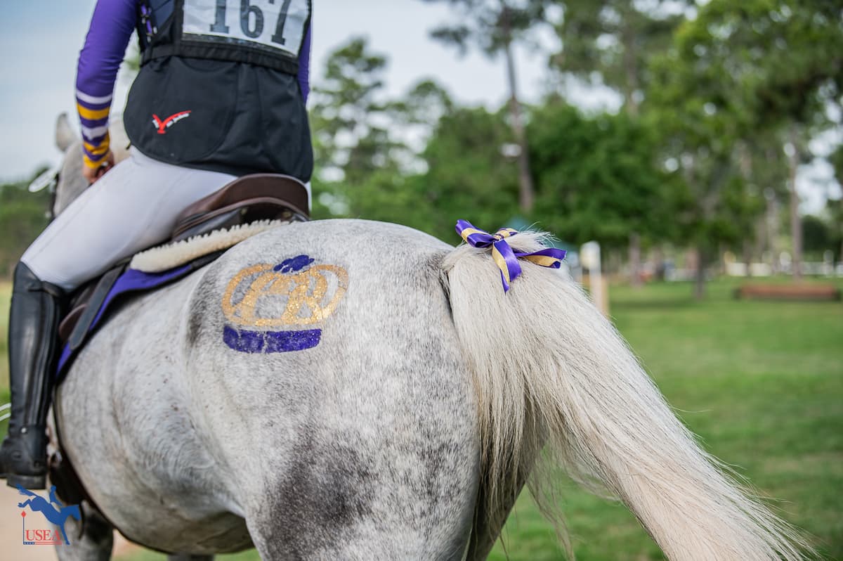 2026 USEA Intercollegiate Championship | Sunday