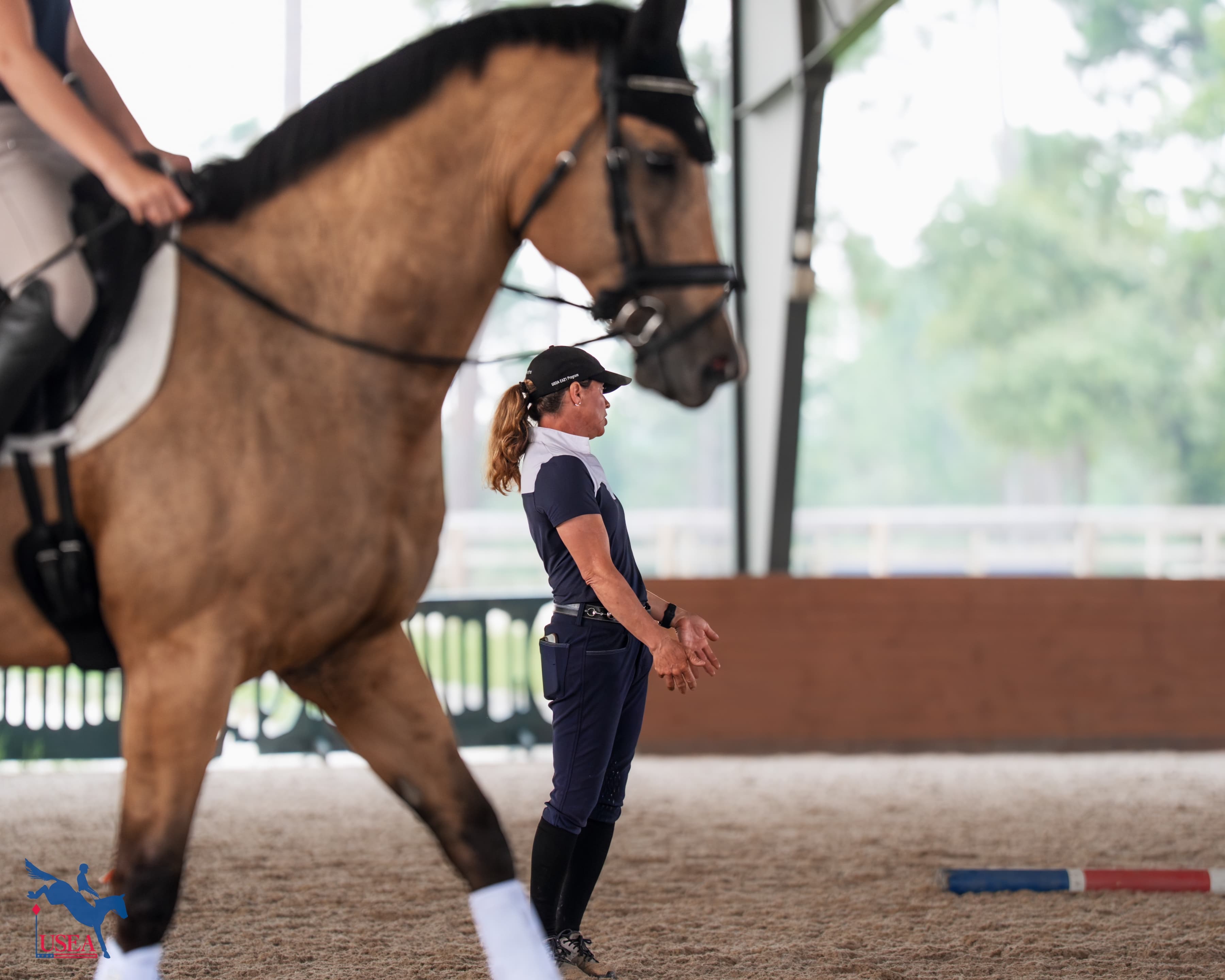 USEA/Christine Quinn photo