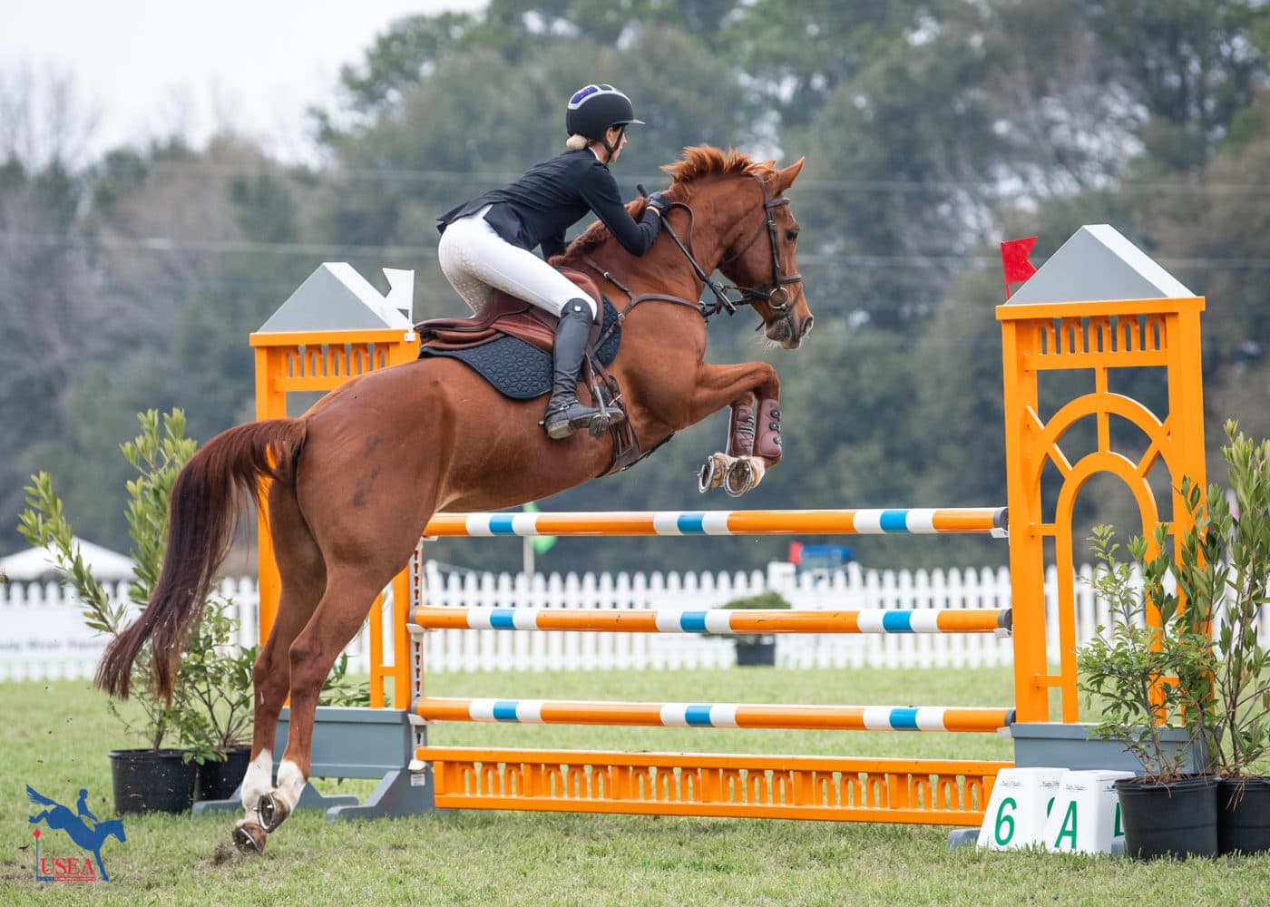 Monica Spencer and Valkyrie jumped well in the CCI3*-S. USEA/Lindsay Berreth photo