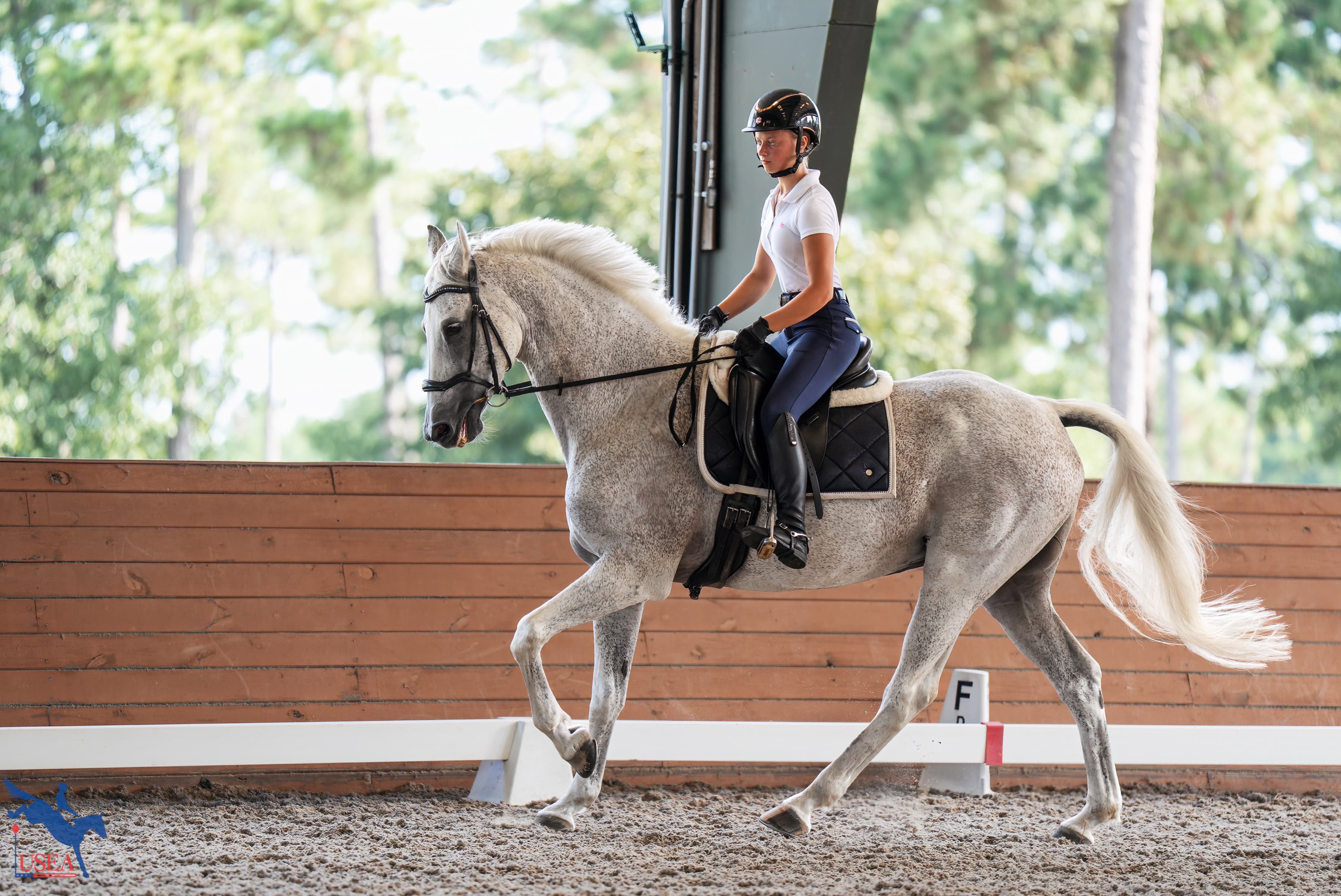 Taylor Wing. USEA/Christine Quinn photo