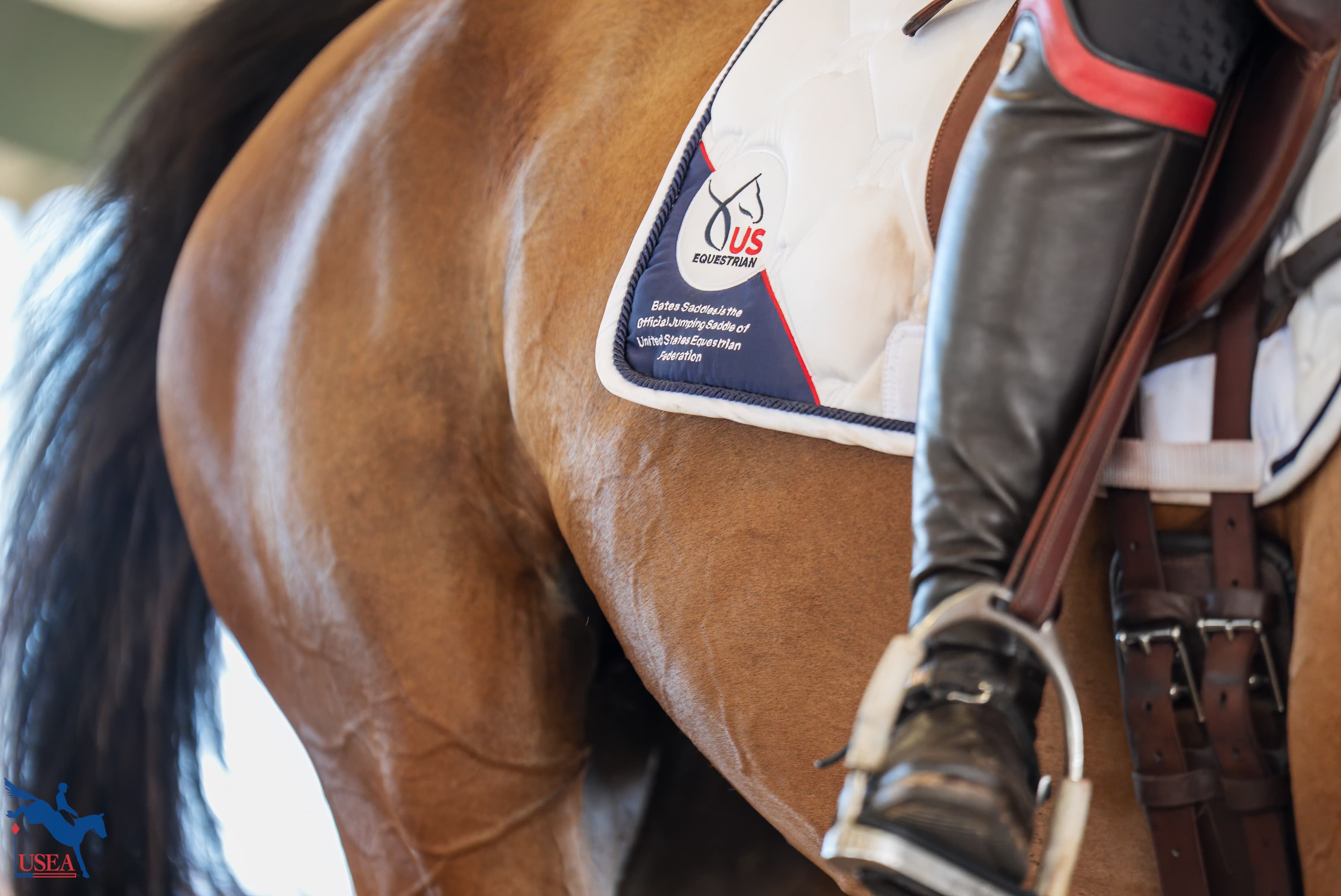 USEA/Christine Quinn photo