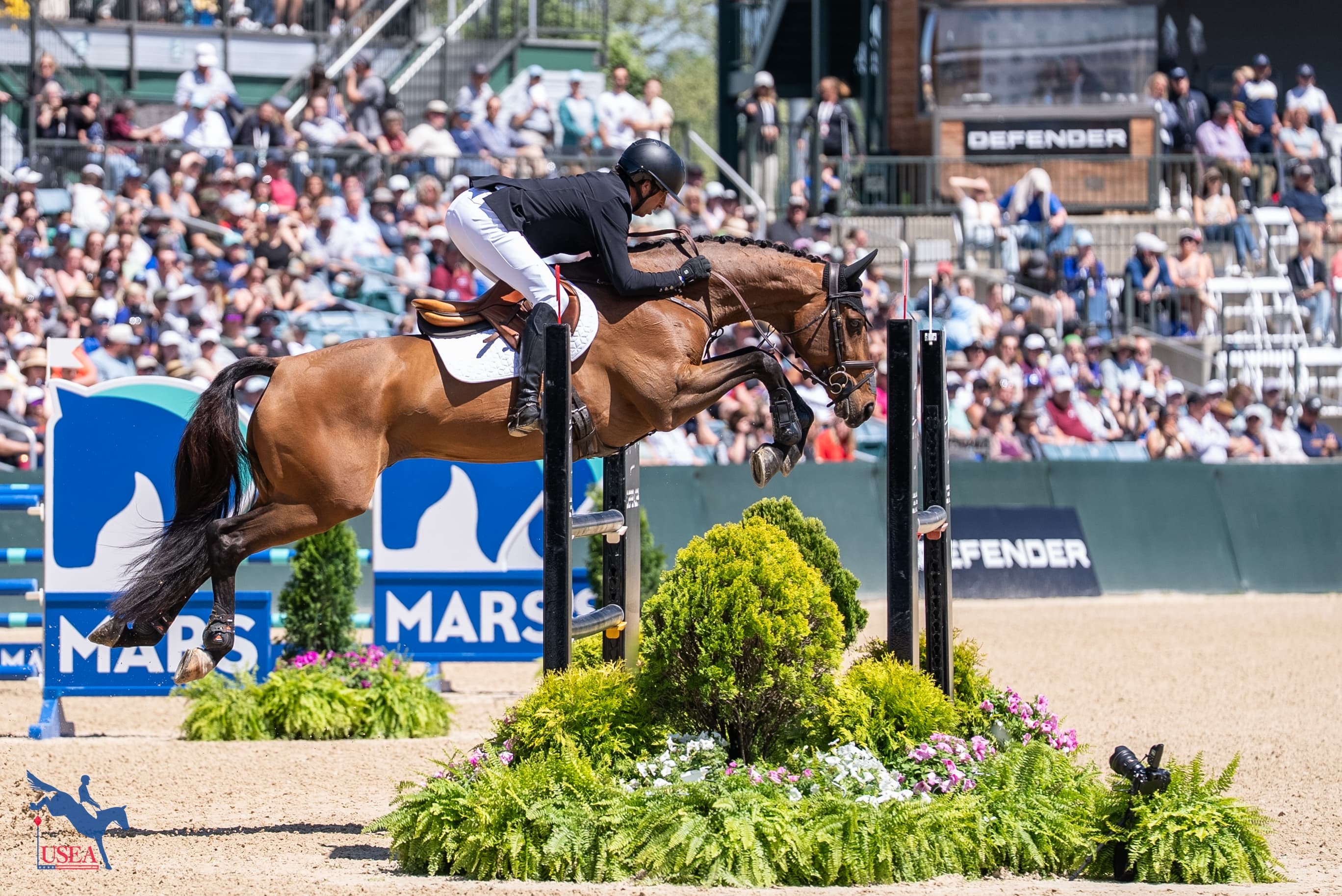 USEA/Lindsay Berreth photo