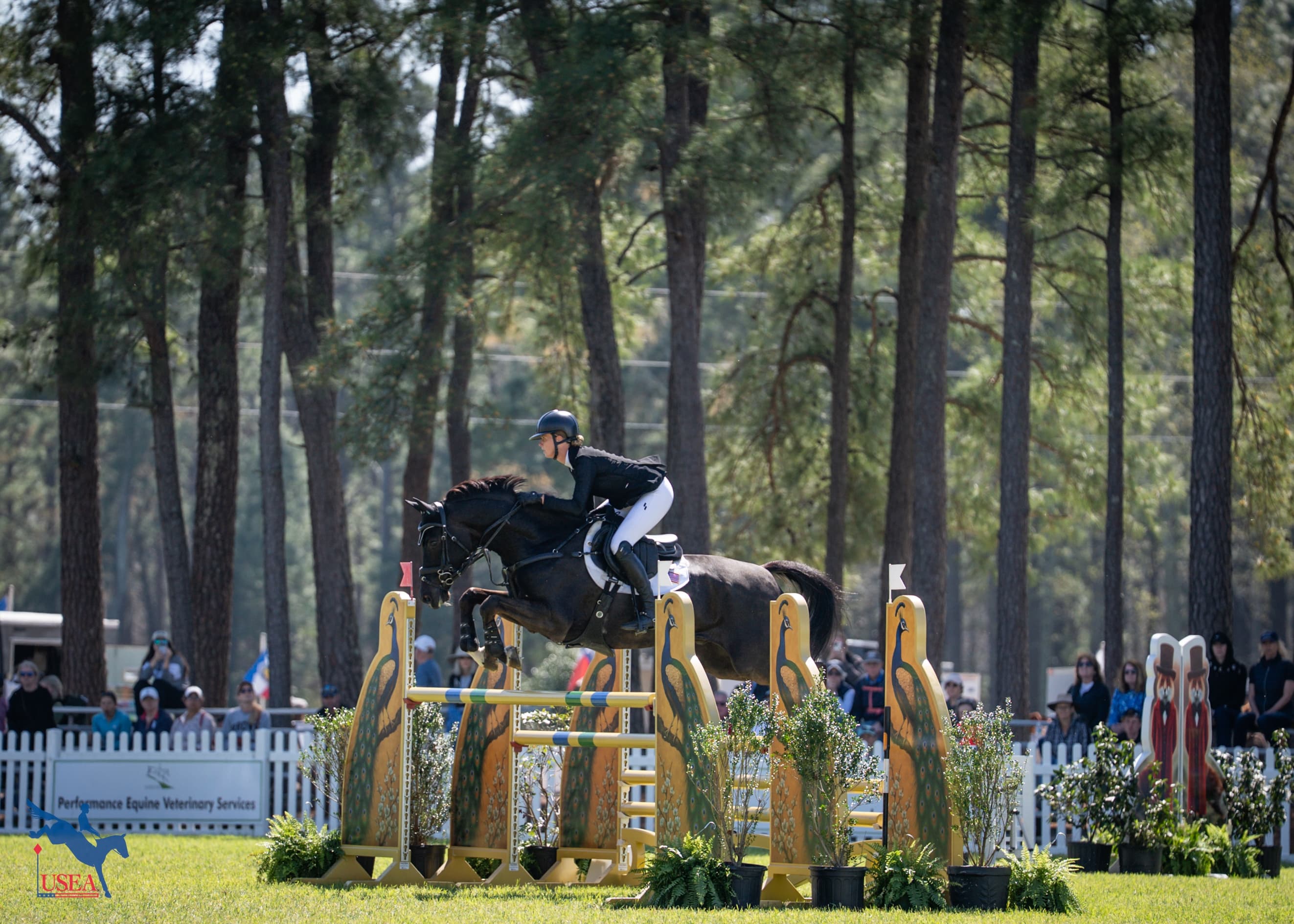 USEA/Lindsay Berreth photo
