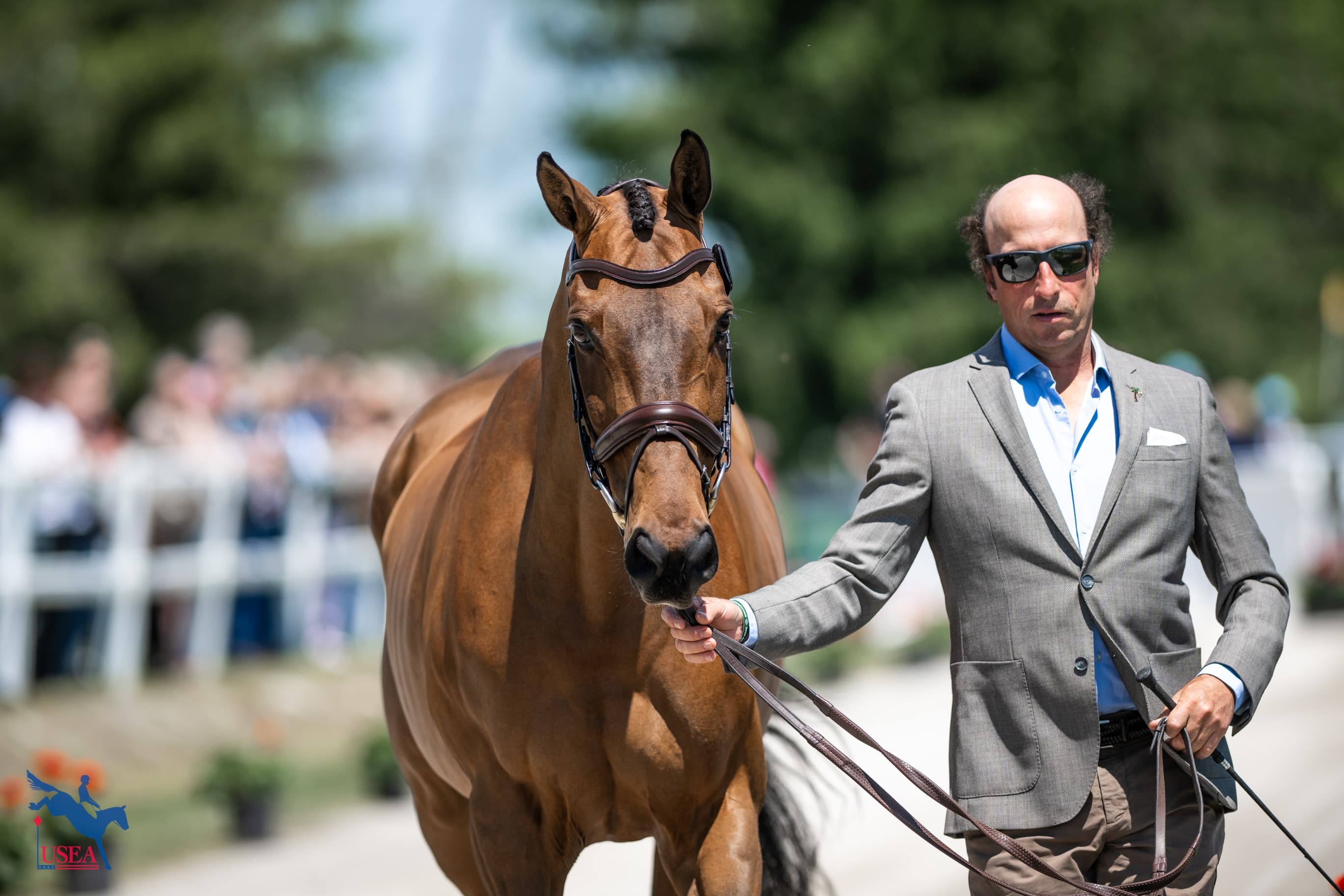 USEA/Lindsay Berreth photo