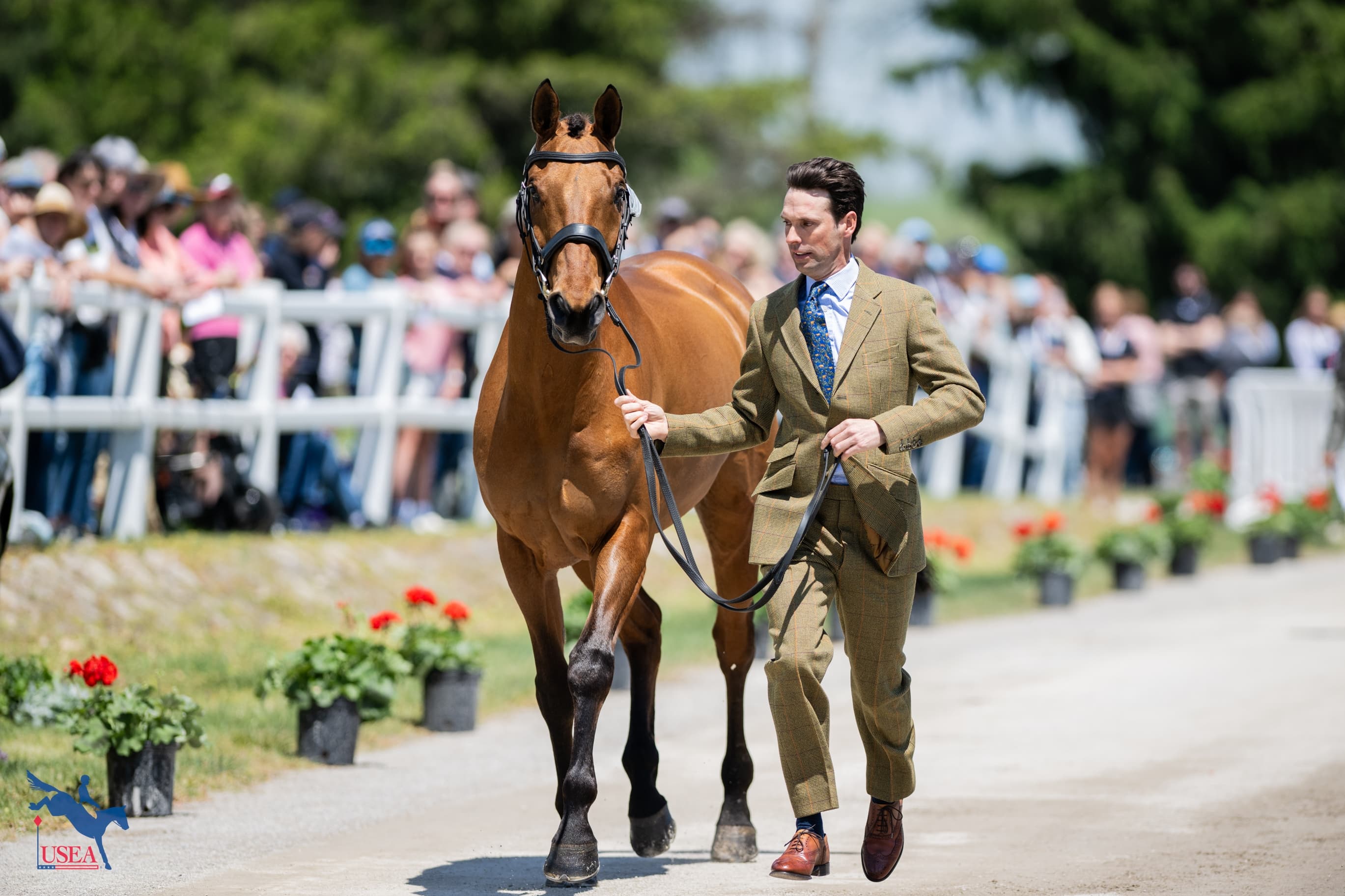 USEA/Lindsay Berreth photo