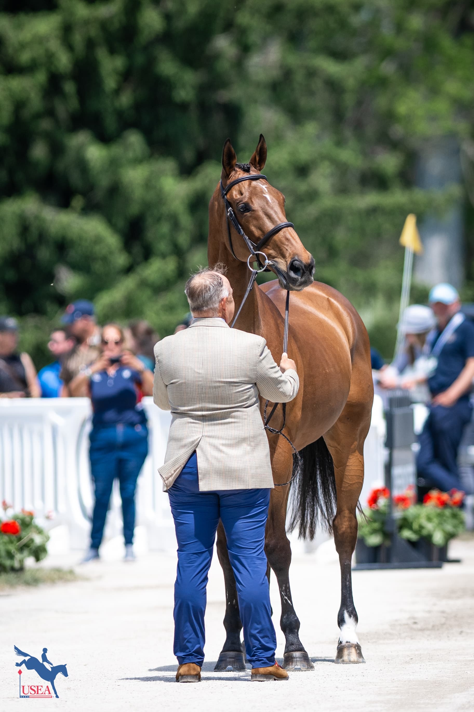 USEA/Lindsay Berreth photo