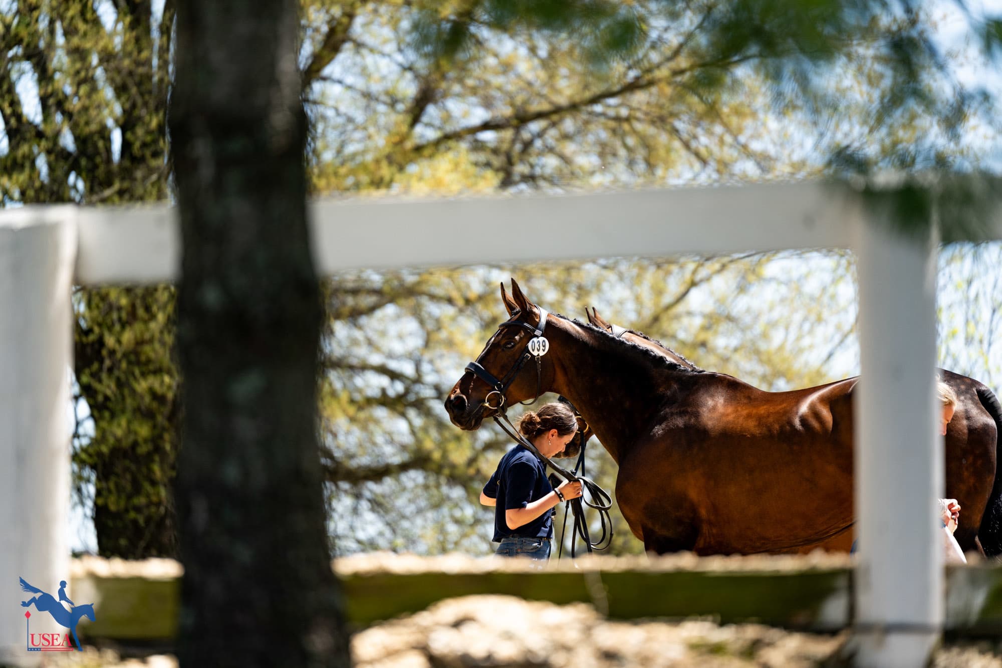 USEA/Atalya Boytner photo