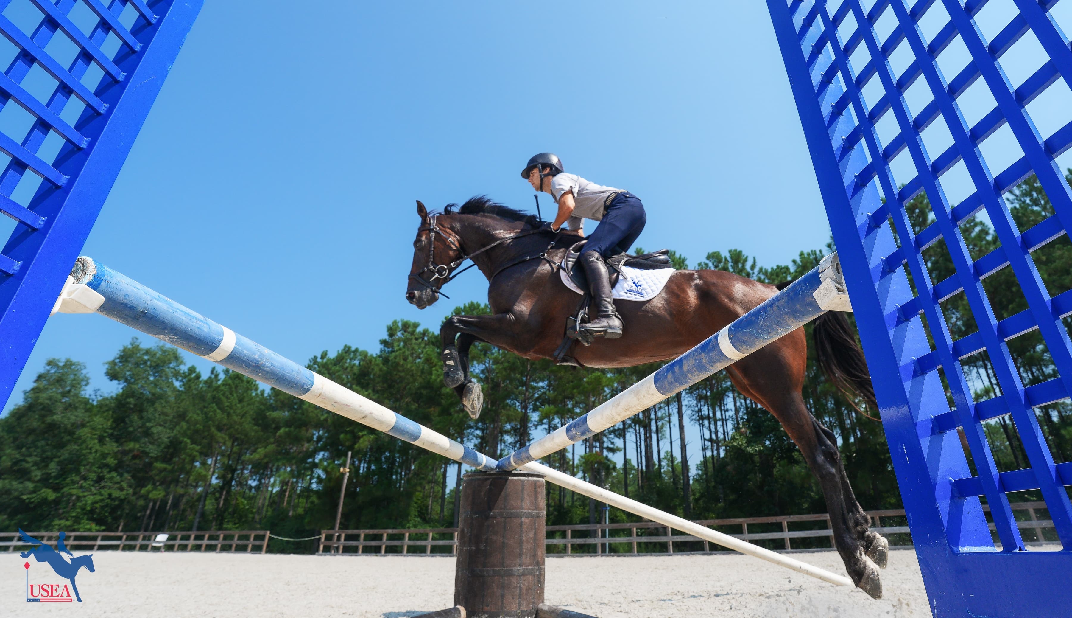 USEA/Christine Quinn photo