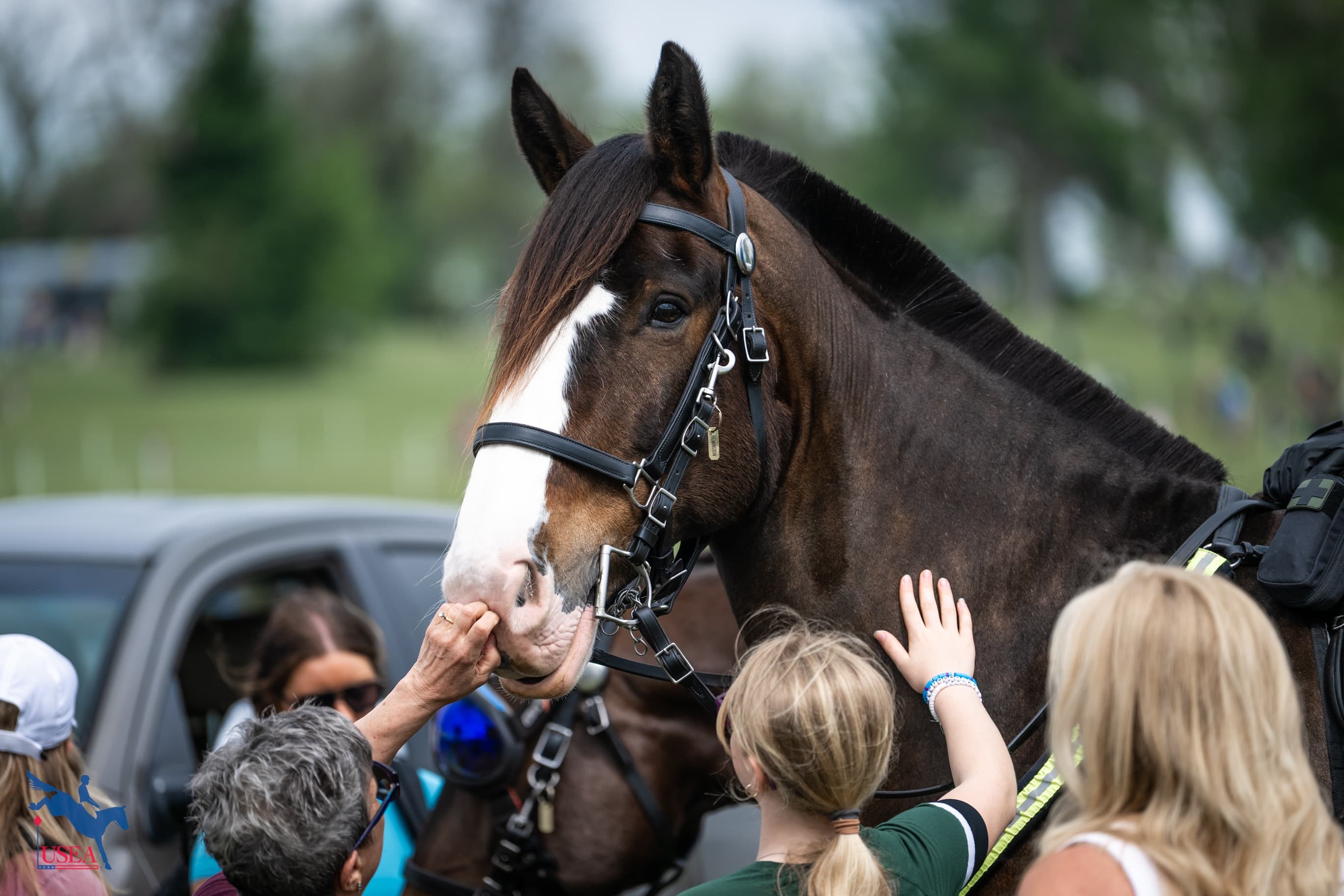 USEA/Lindsay Berreth photo