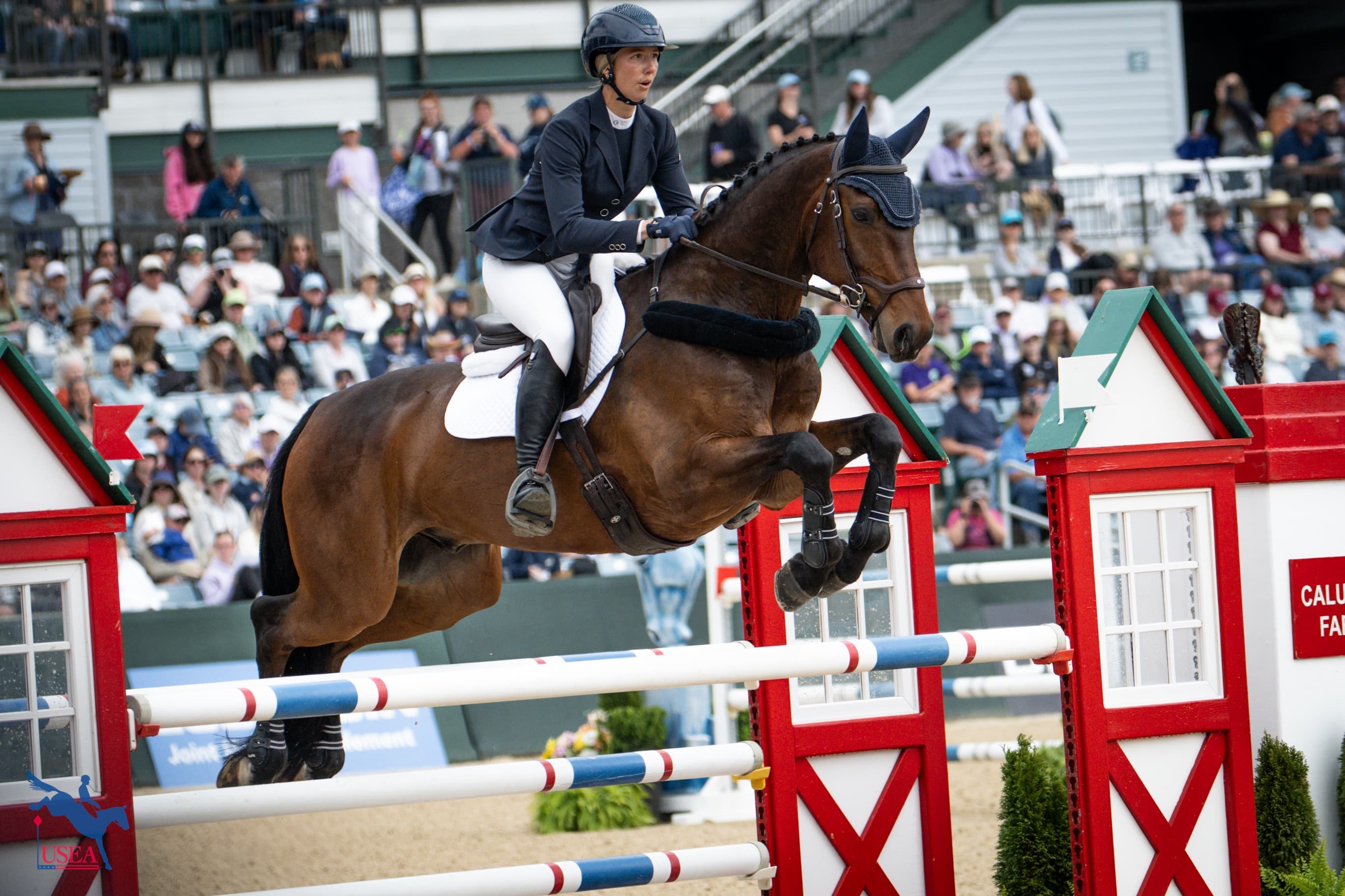 USEA/Lindsay Berreth photo