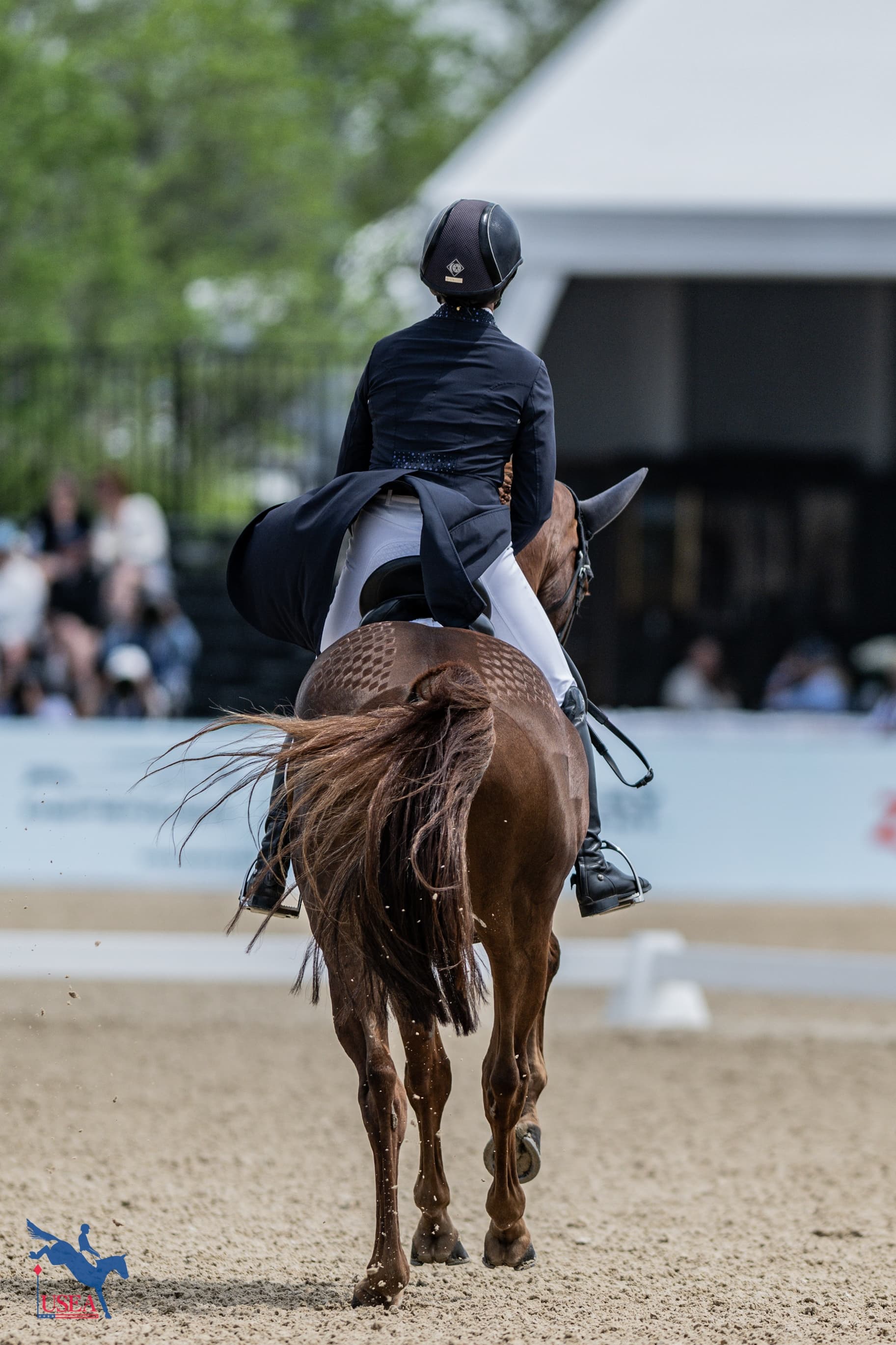 USEA/Lindsay Berreth photo