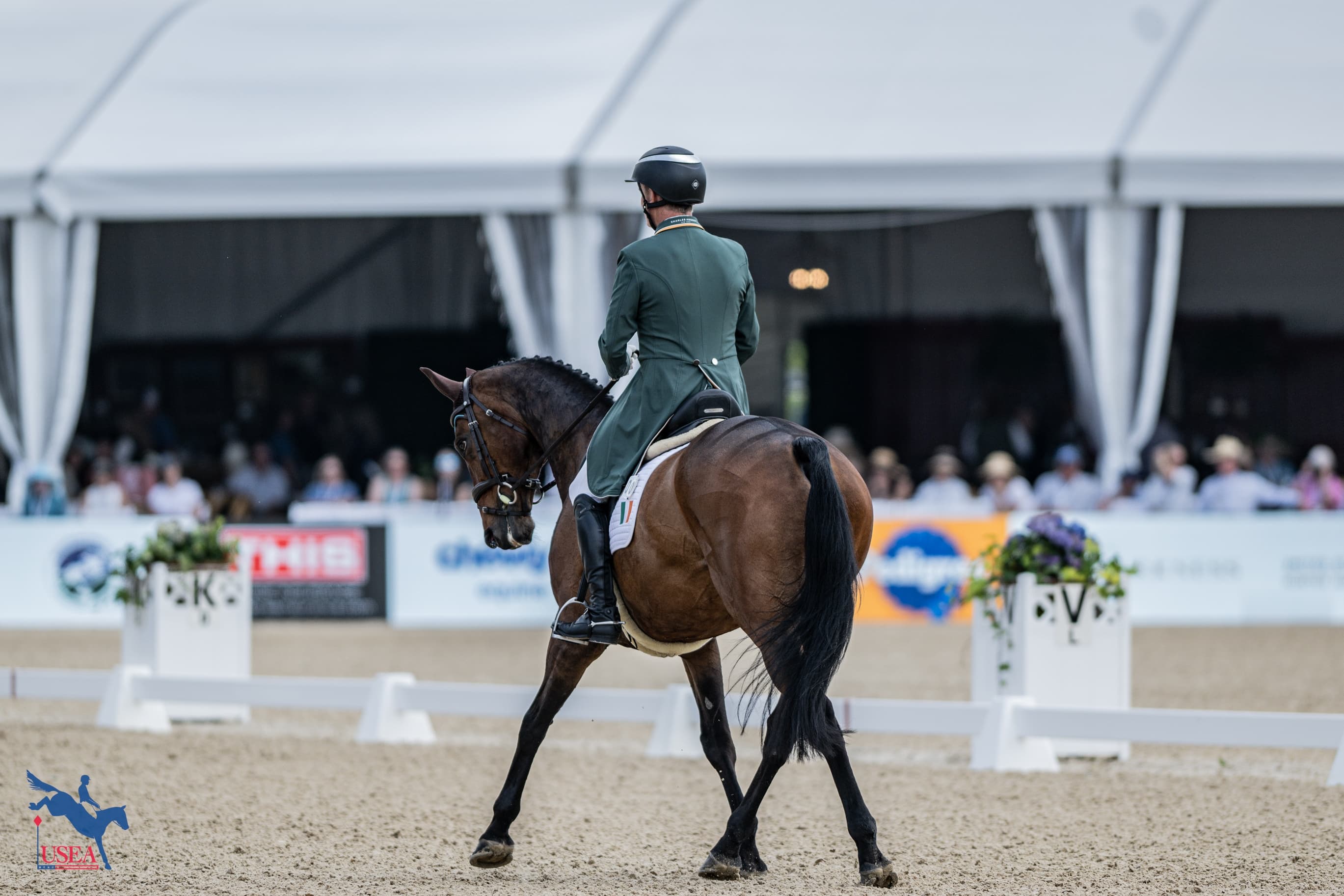 Padraig McCarthy and Pomp N Circumstance. USEA/Lindsay Berreth photo