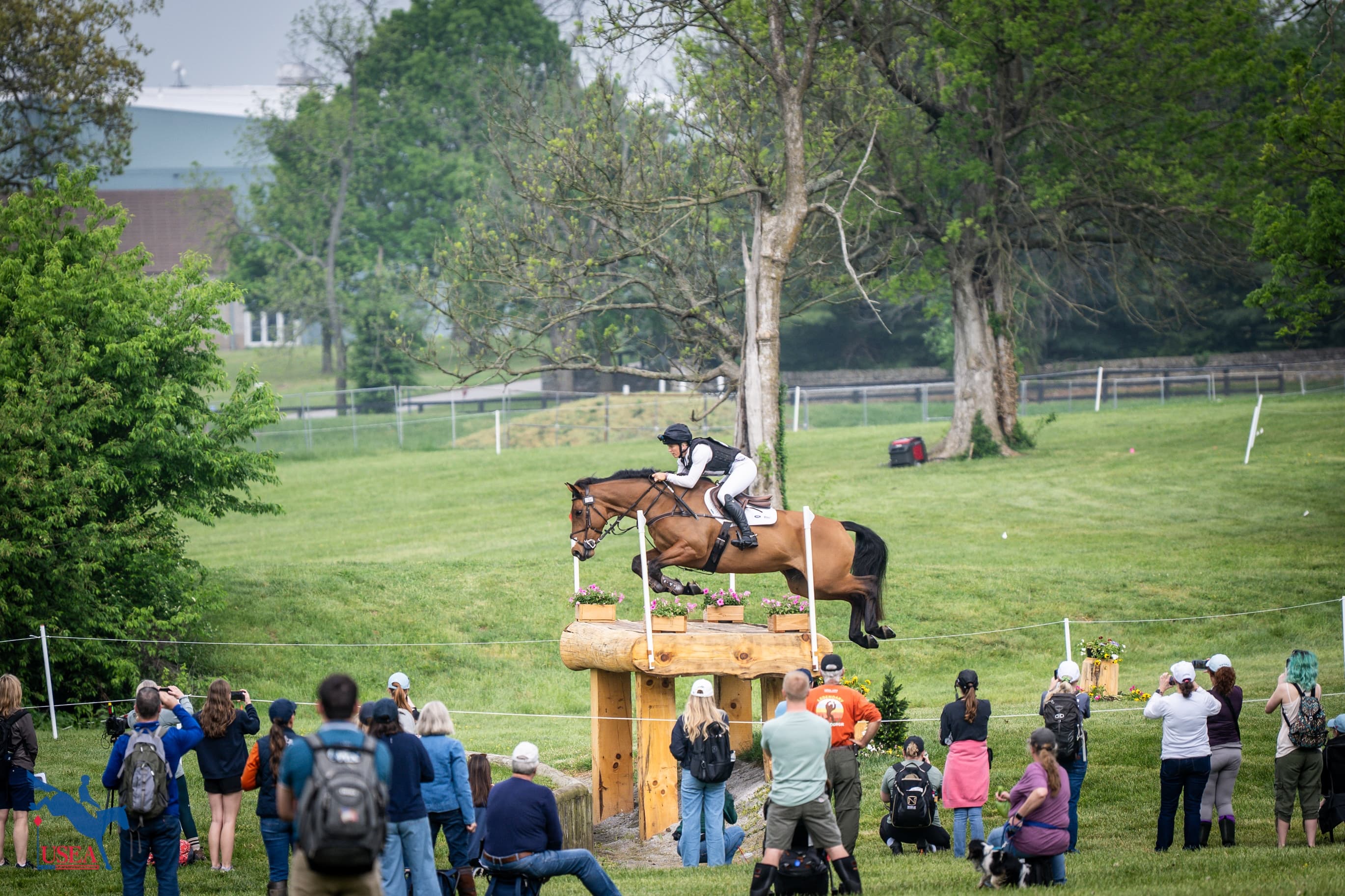 USEA/Lindsay Berreth photo