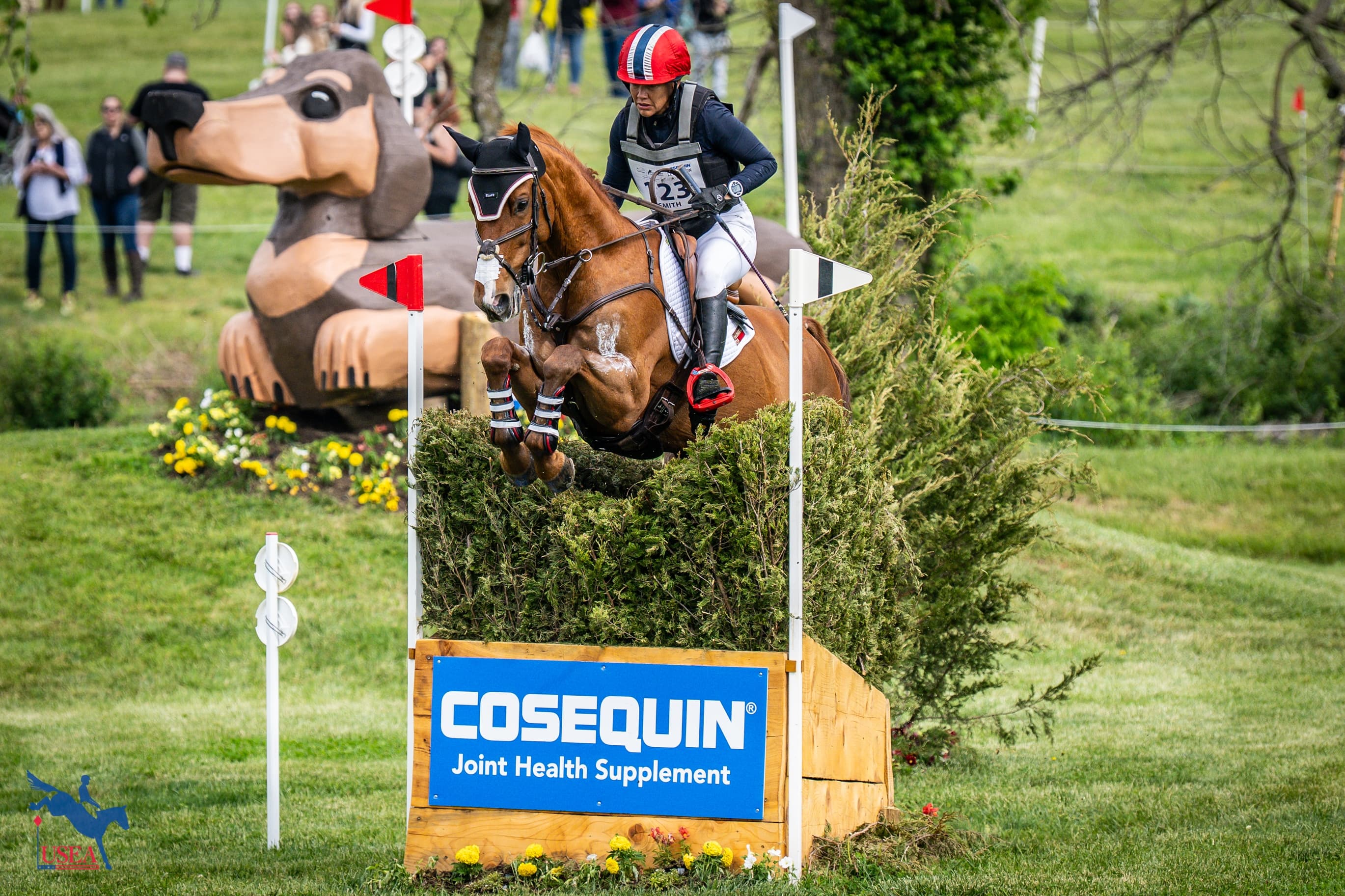 USEA/Lindsay Berreth photo