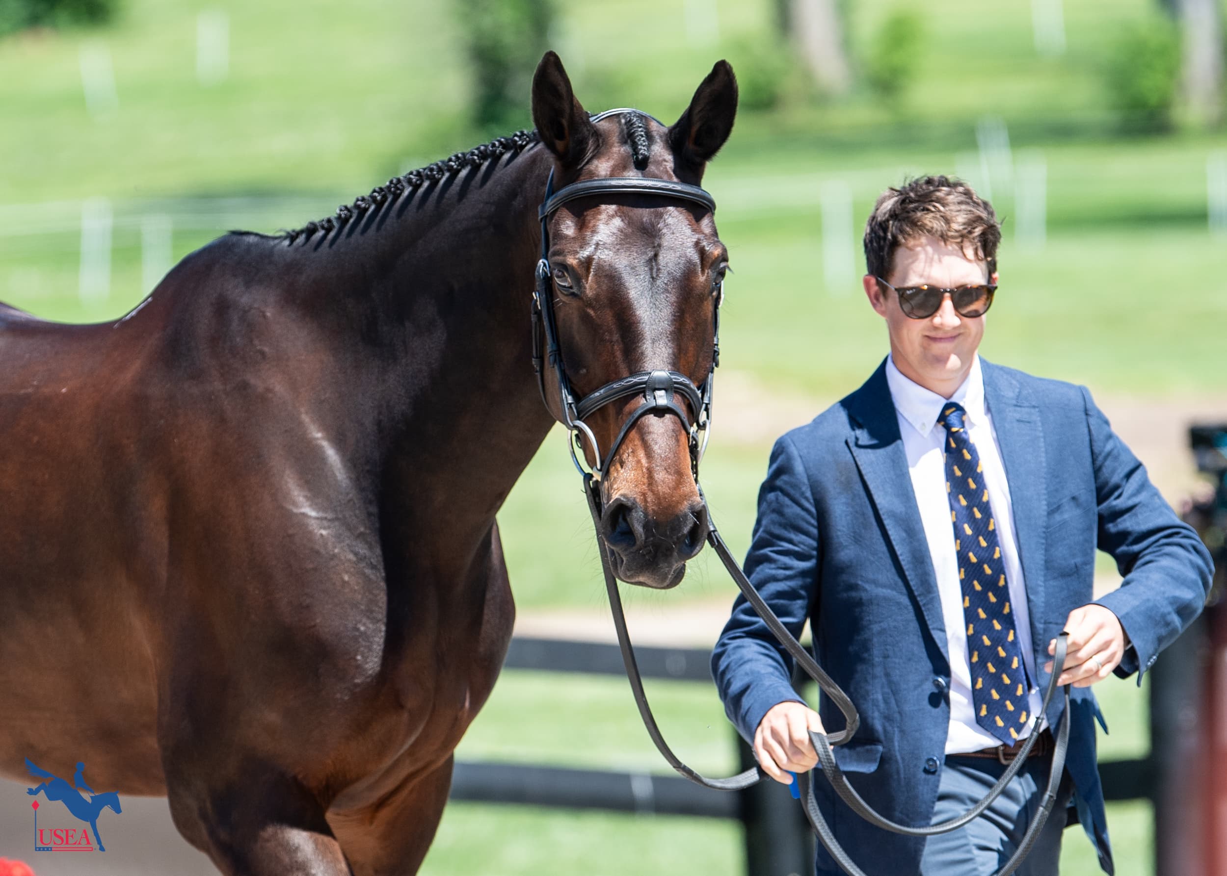 Tom McEwen and Brookfield Quality. USEA/Lindsay Berreth photo