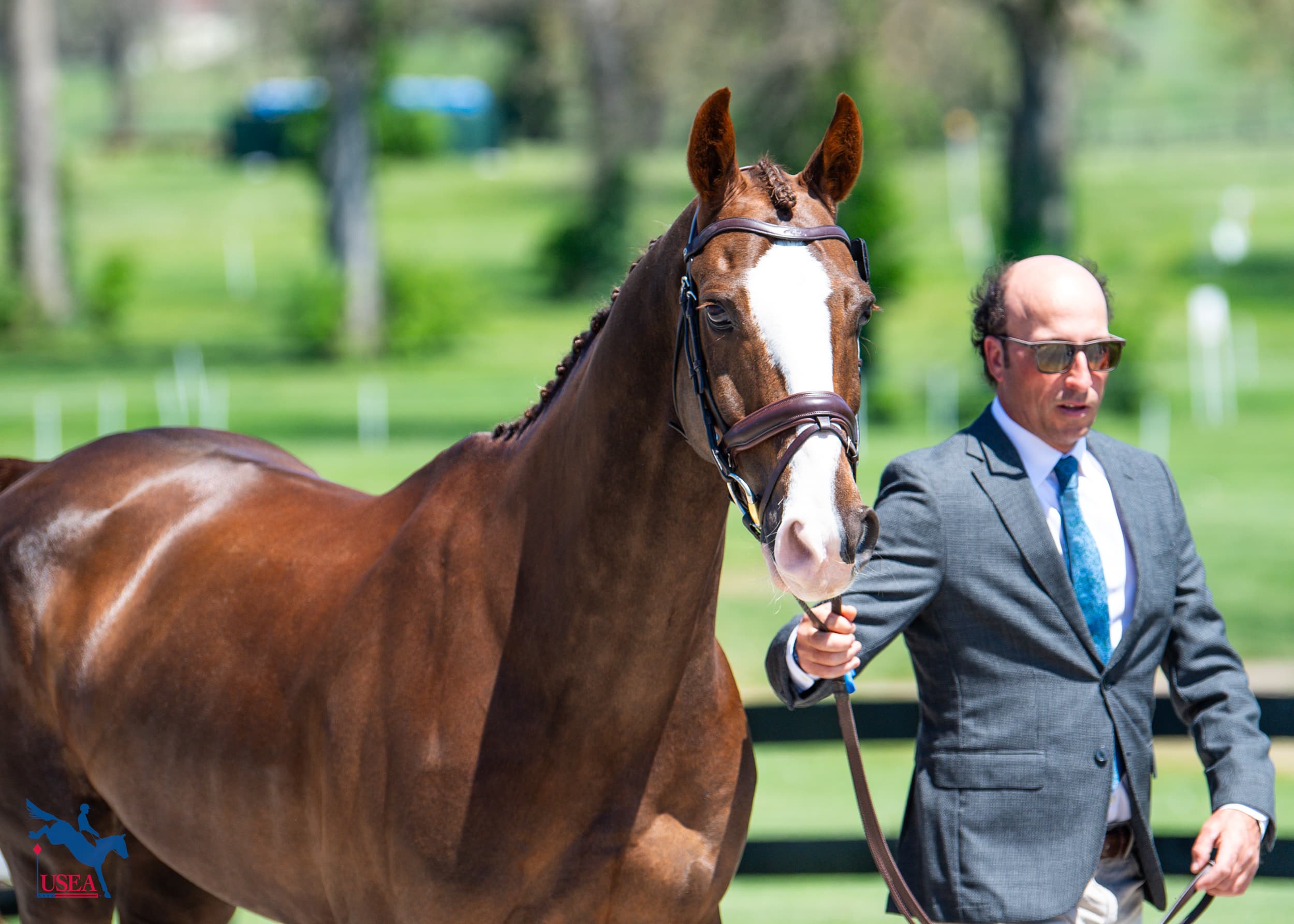 Tim Price and Happy Boy. USEA/Lindsay Berreth photo