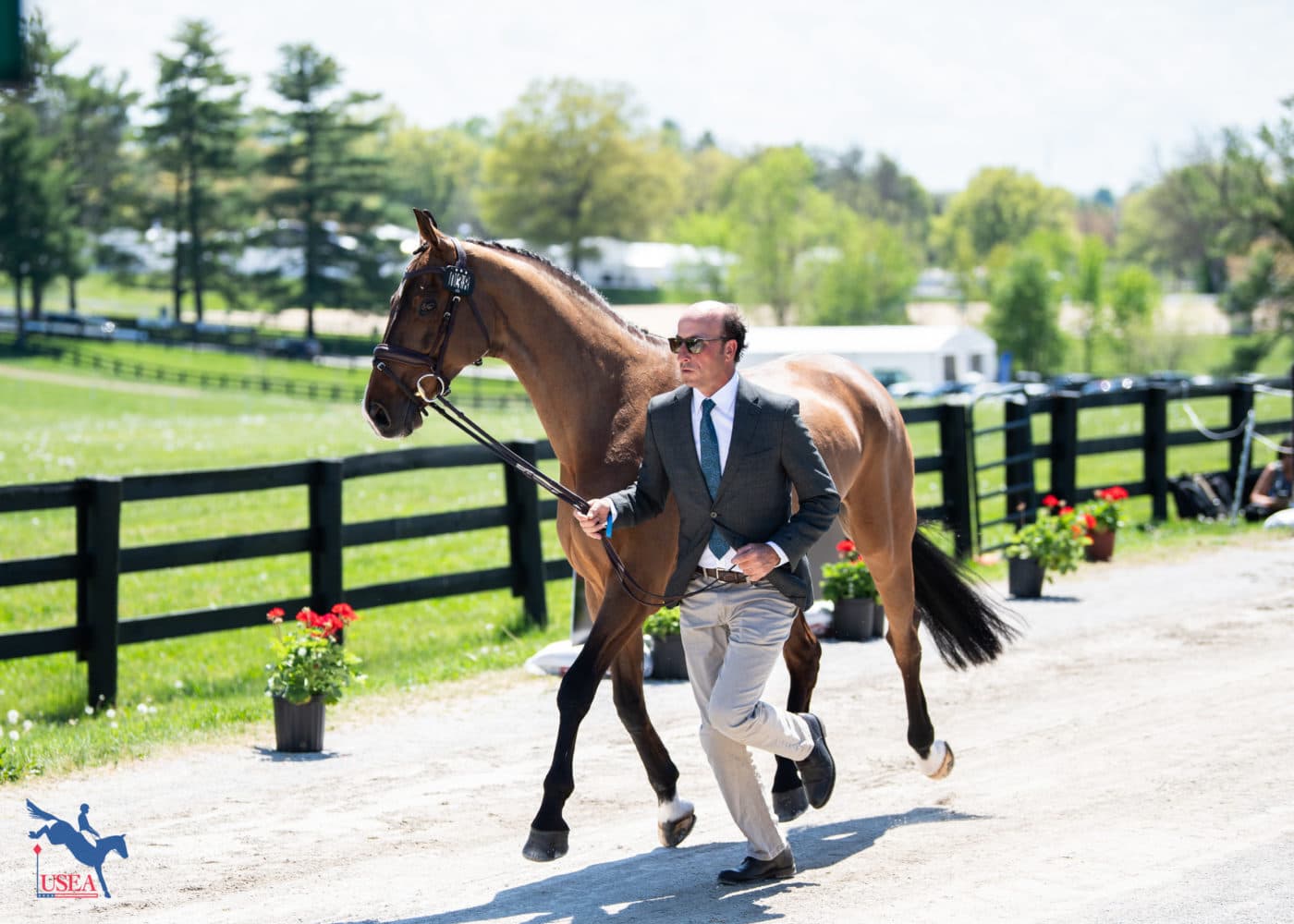 Tim Price and Falco. USEA/Lindsay Berreth photo