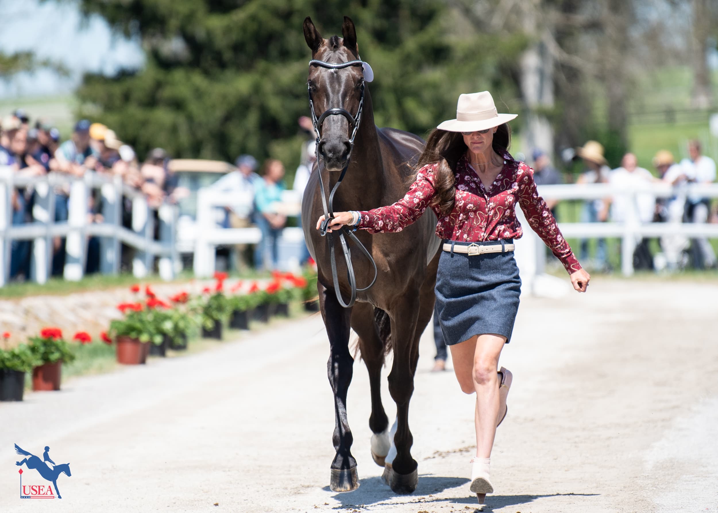 Lauren Nicholson and I'll Have Another. USEA/Lindsay Berreth photo