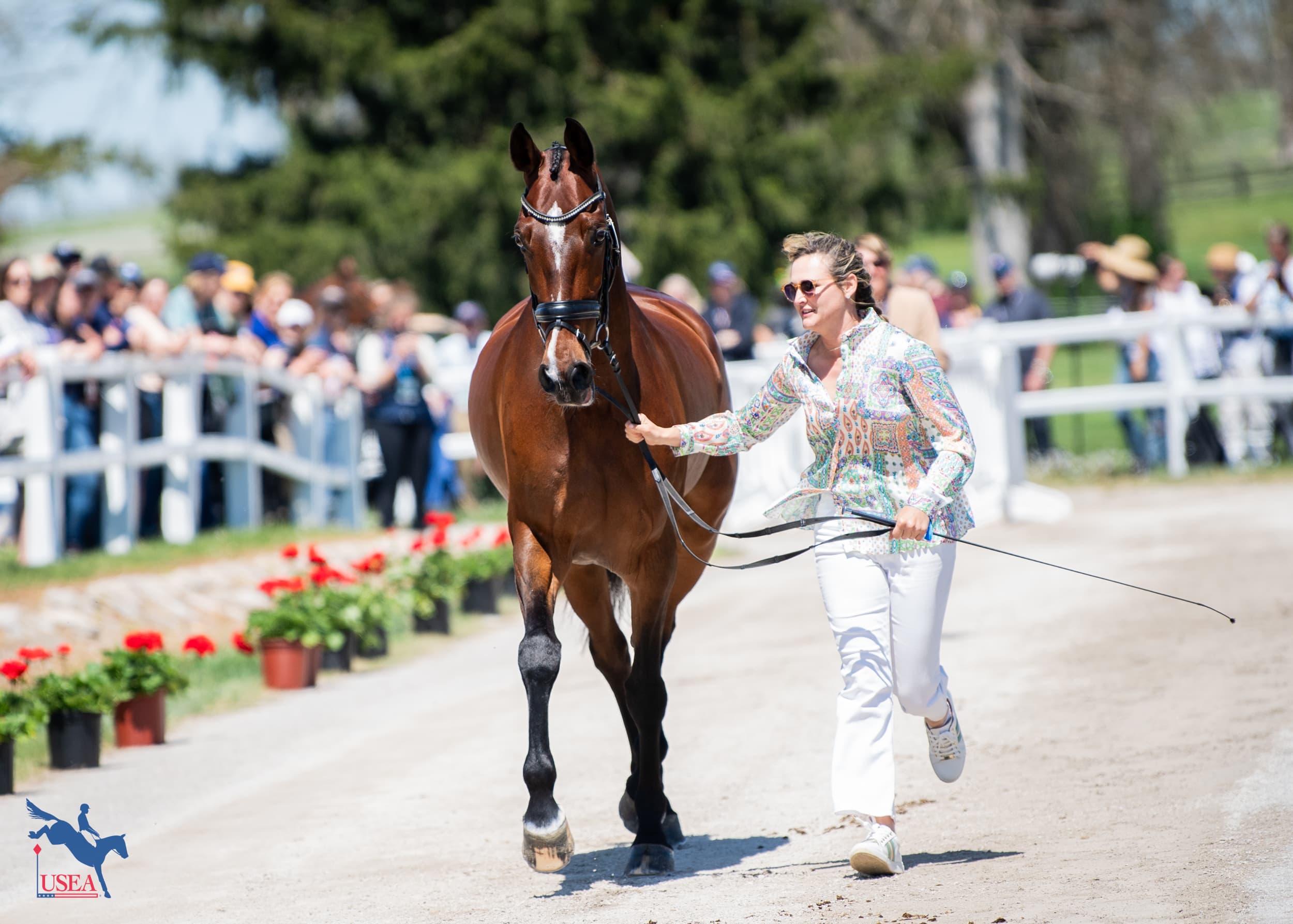 Katherine Coleman and Monbeg Senna. USEA/Lindsay Berreth photo