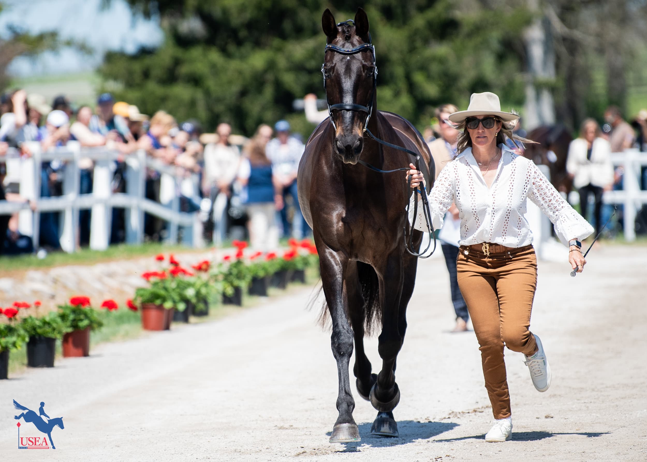 Bec Braitling and Caravaggio II. USEA/Lindsay Berreth photo