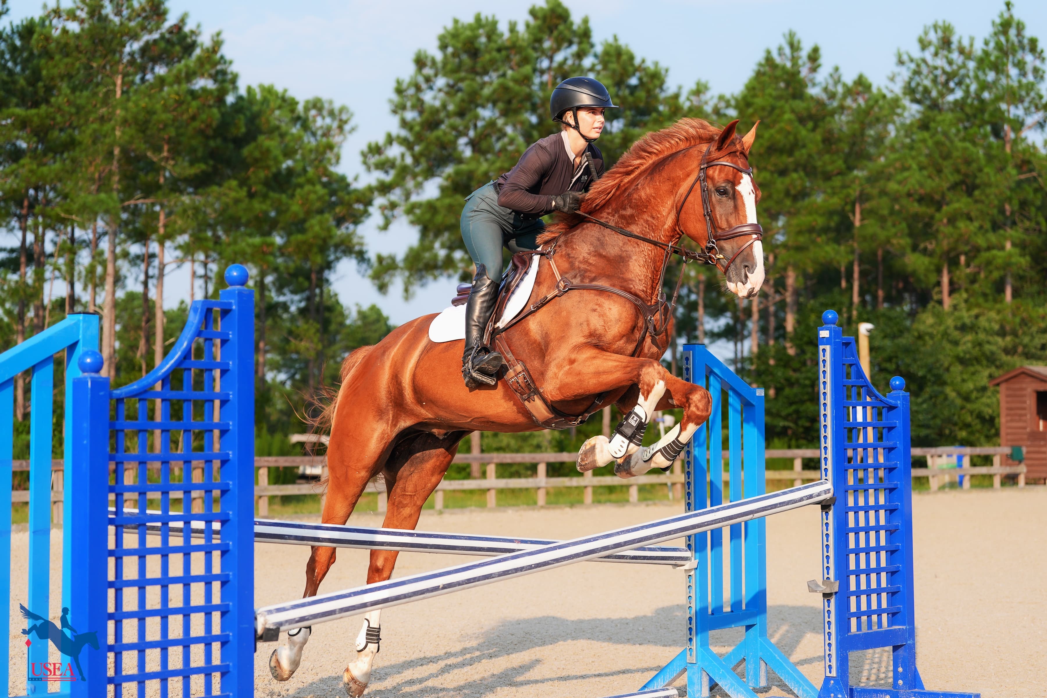 USEA/Christine Quinn photo