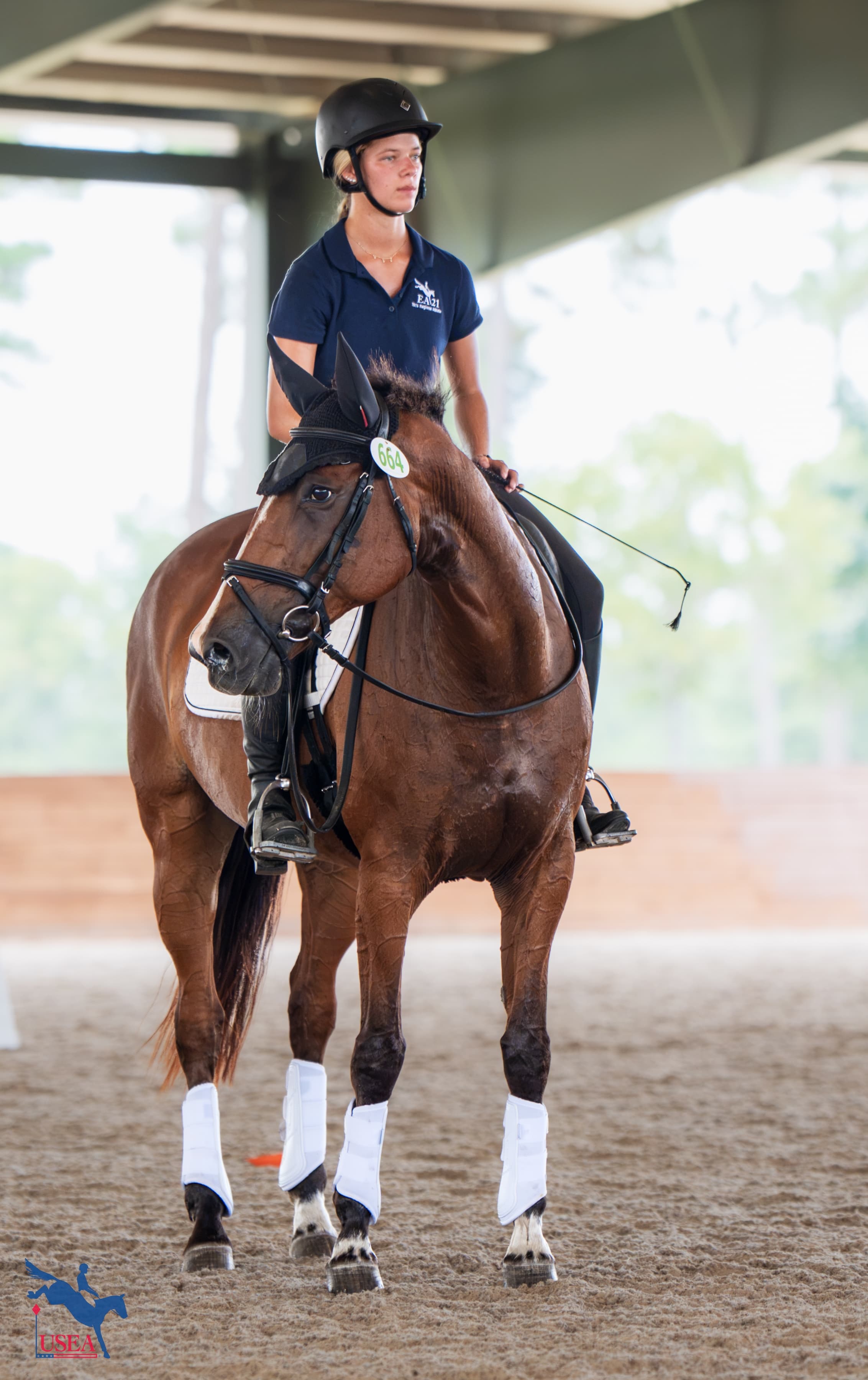 USEA/Christine Quinn photo