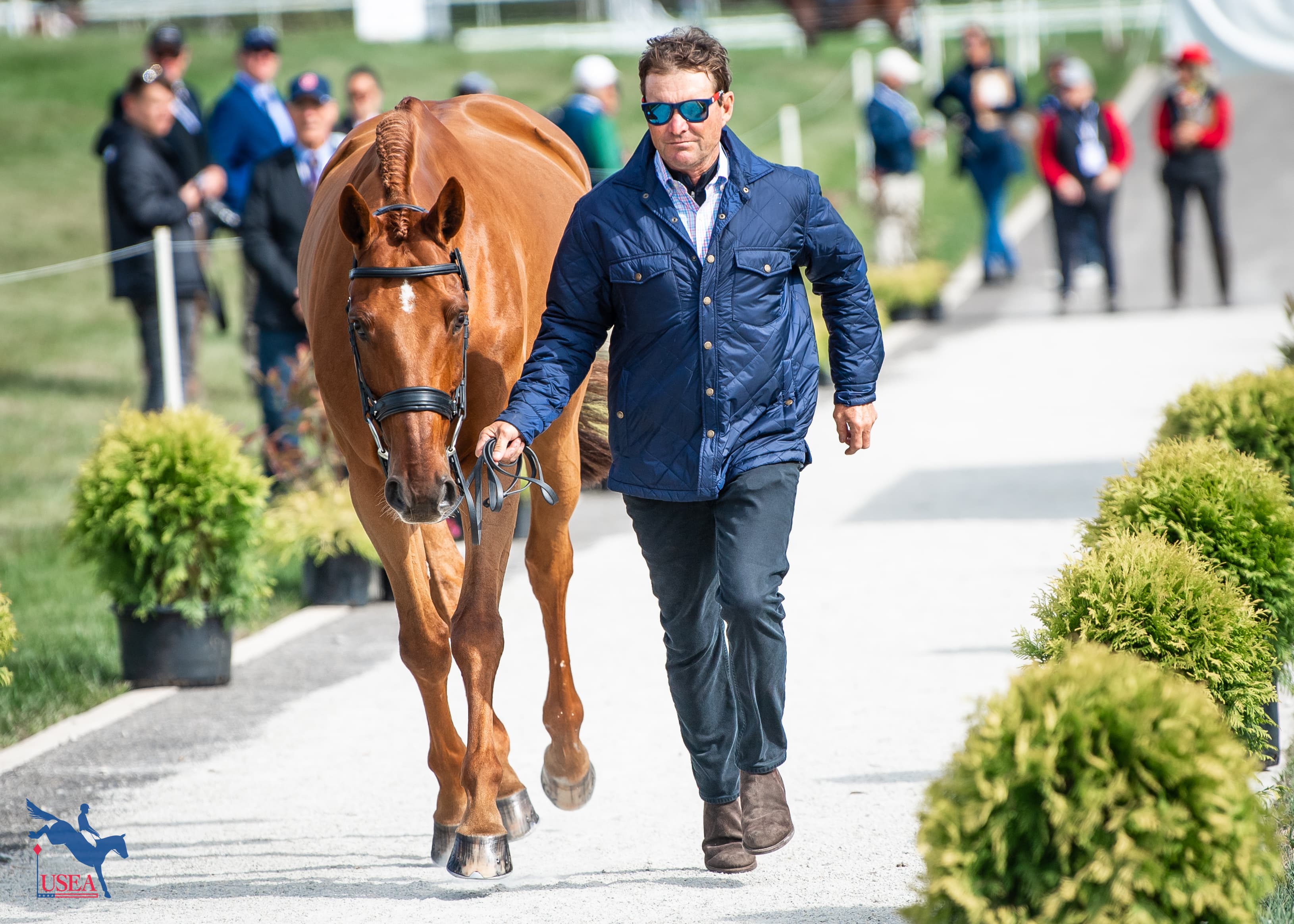 Phillip Dutton jogged FE Lifestyle for Jennie Brannigan. USEA/Lindsay Berreth photo