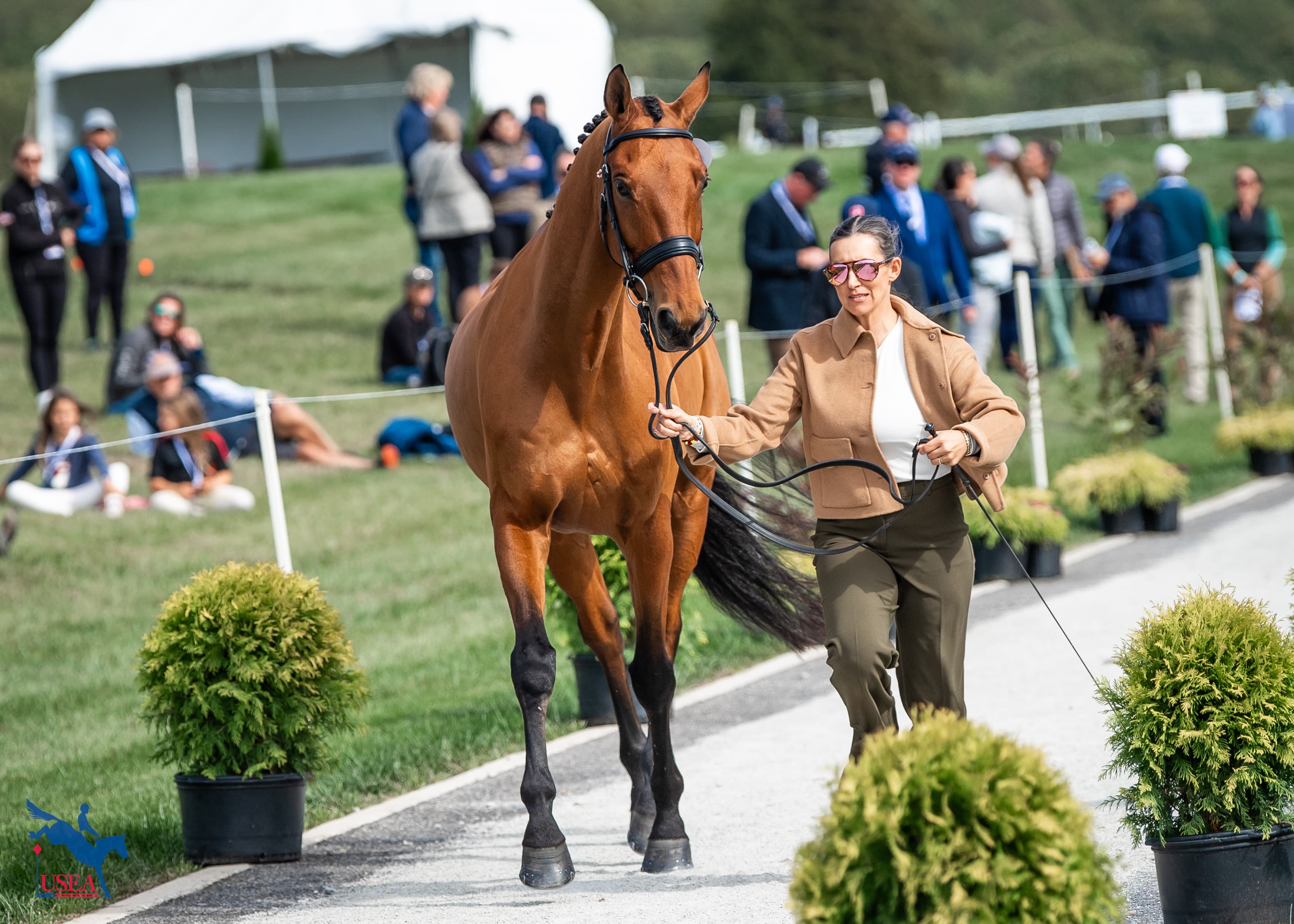 Lindsay Traisnel and Bacyrouge. USEA/Lindsay Berreth photo