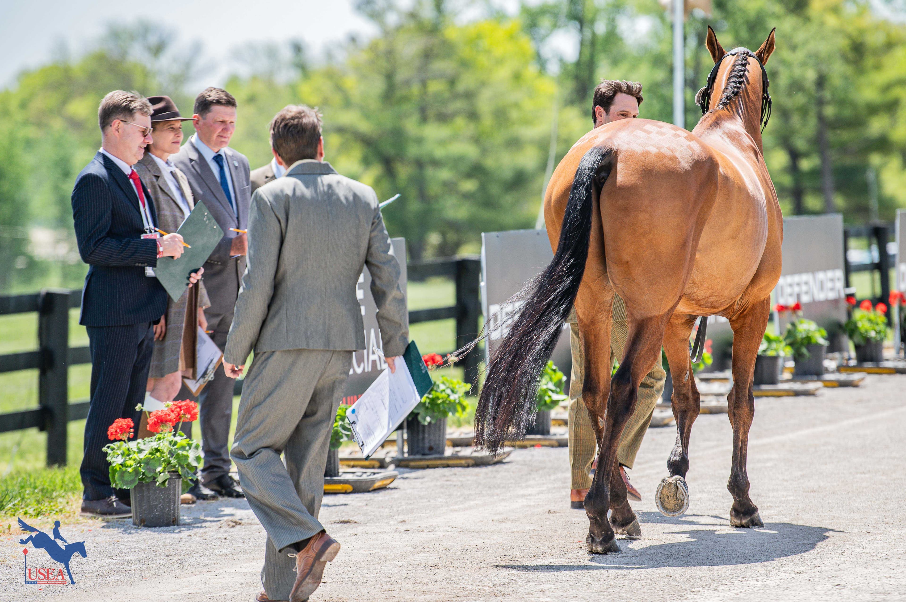 USEA/Meagan DeLisle photo