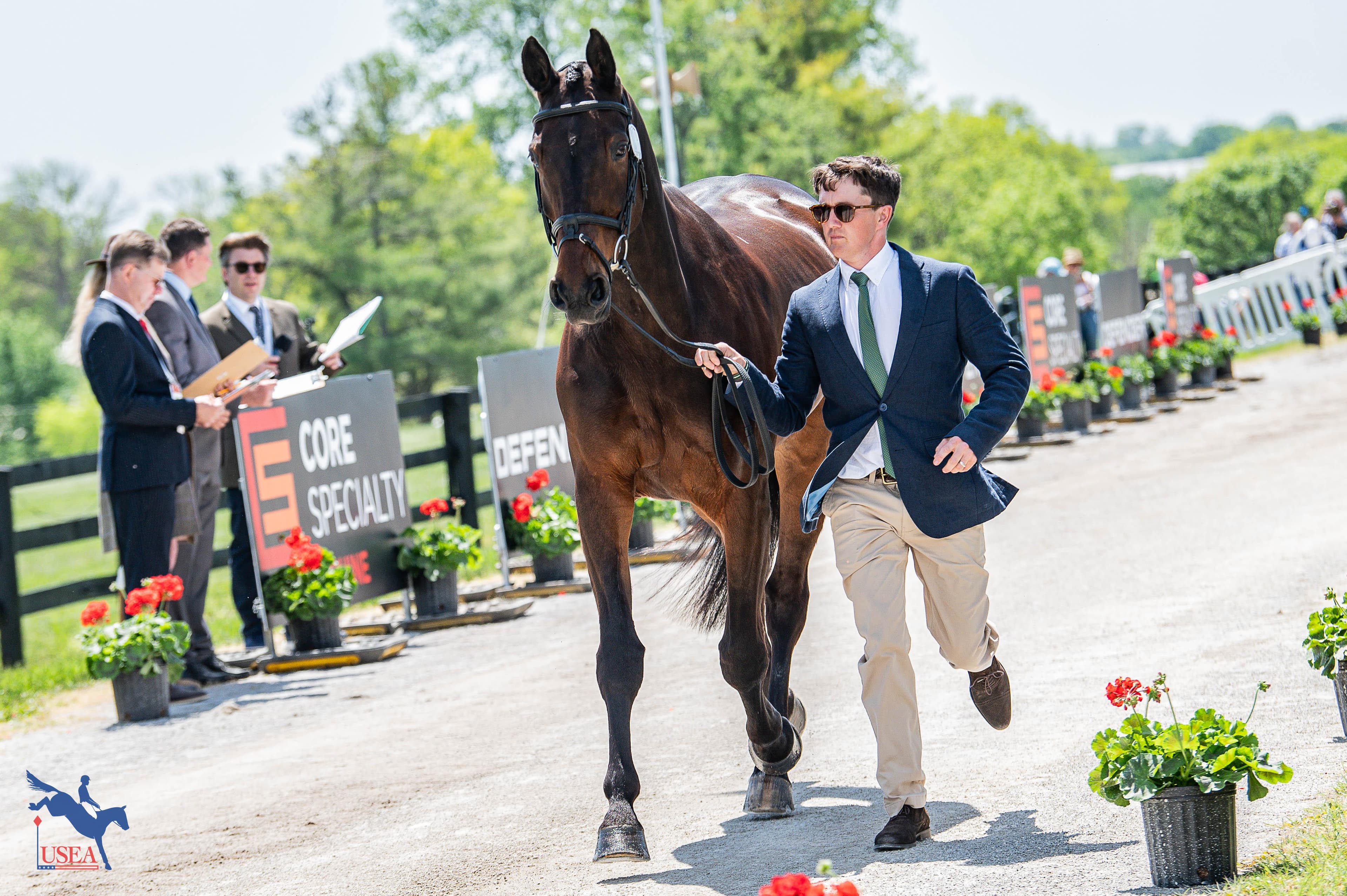 USEA/Meagan DeLisle photo