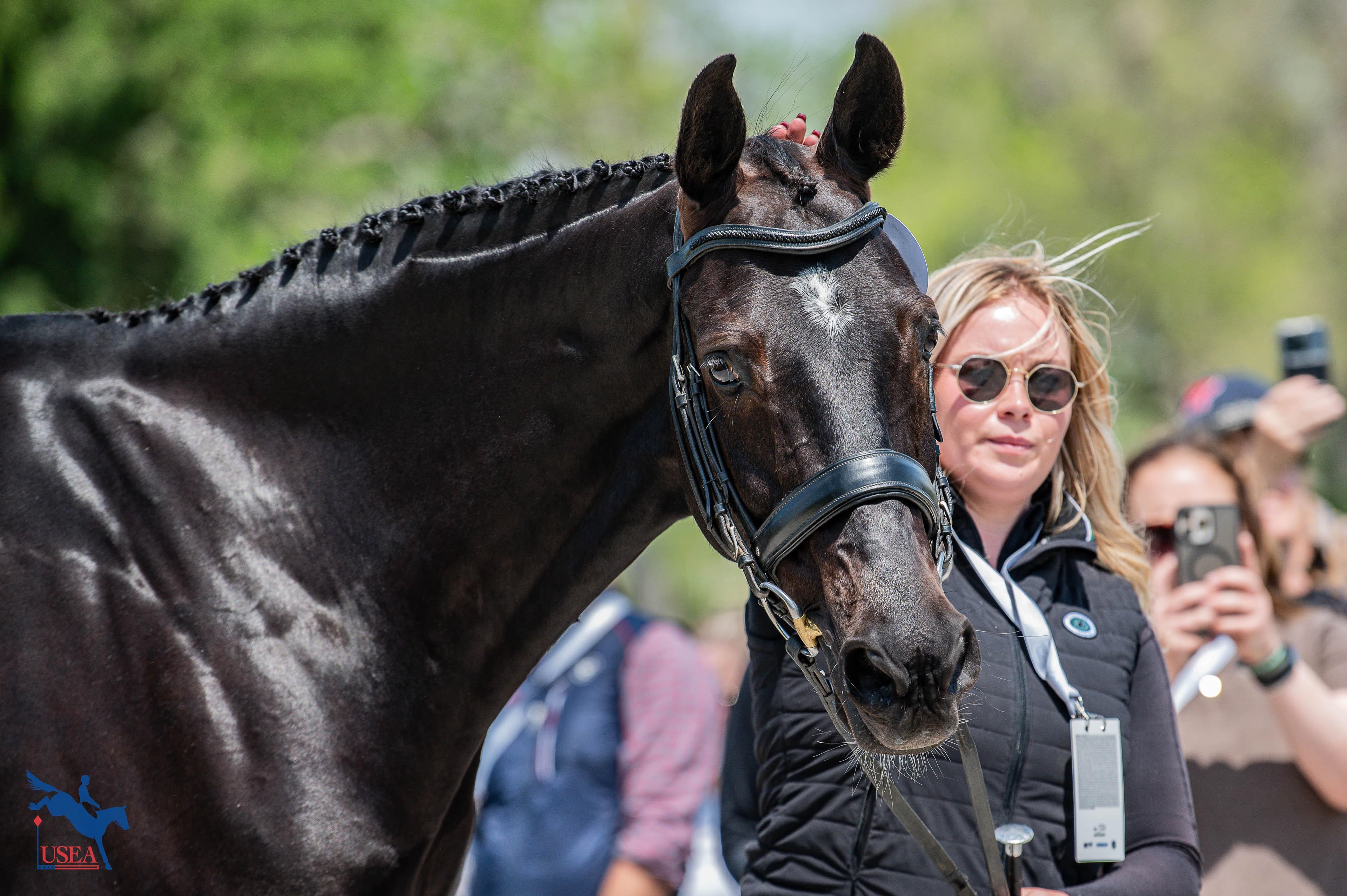 USEA/Meagan DeLisle photo