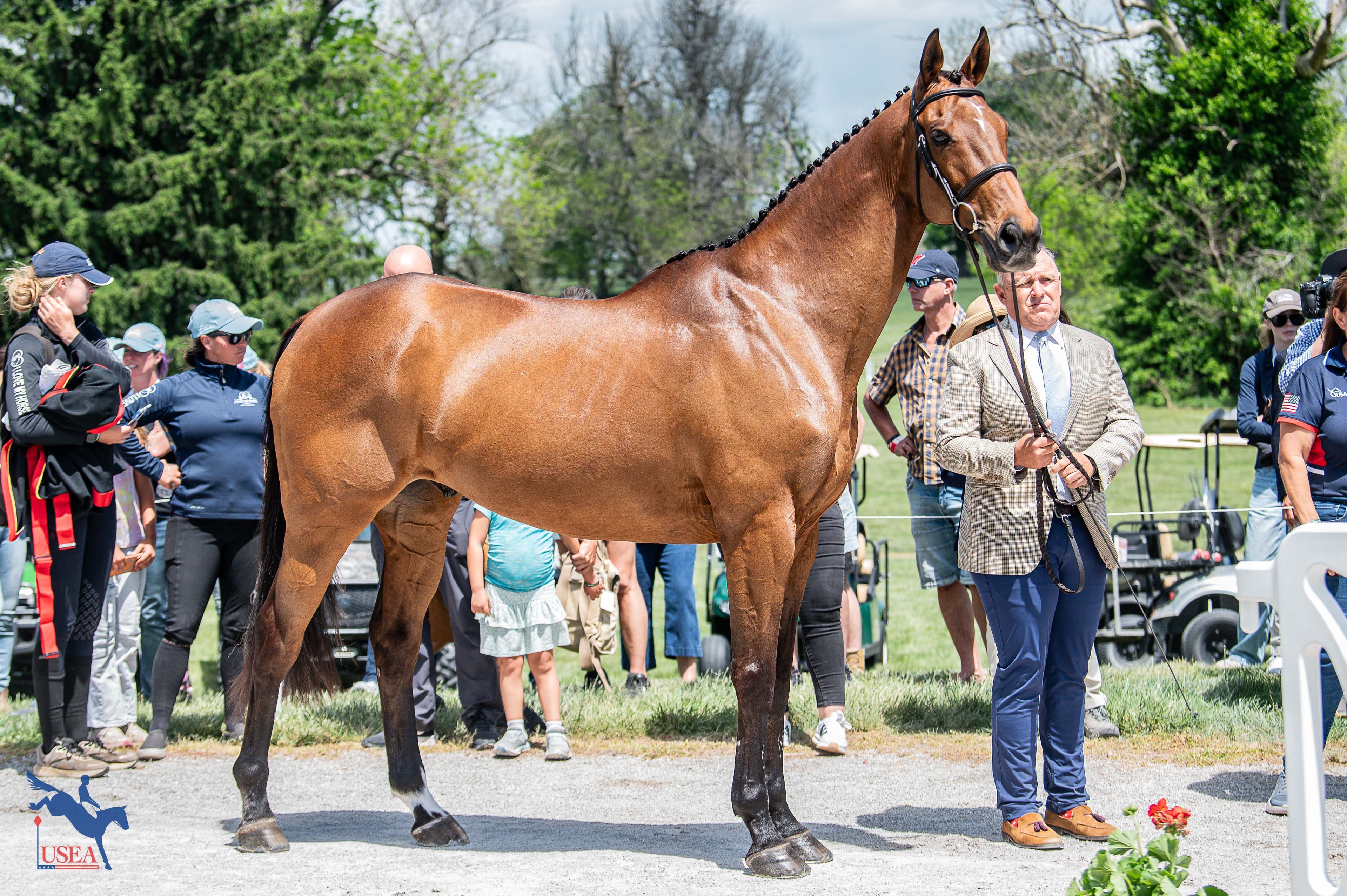 USEA/Meagan DeLisle photo