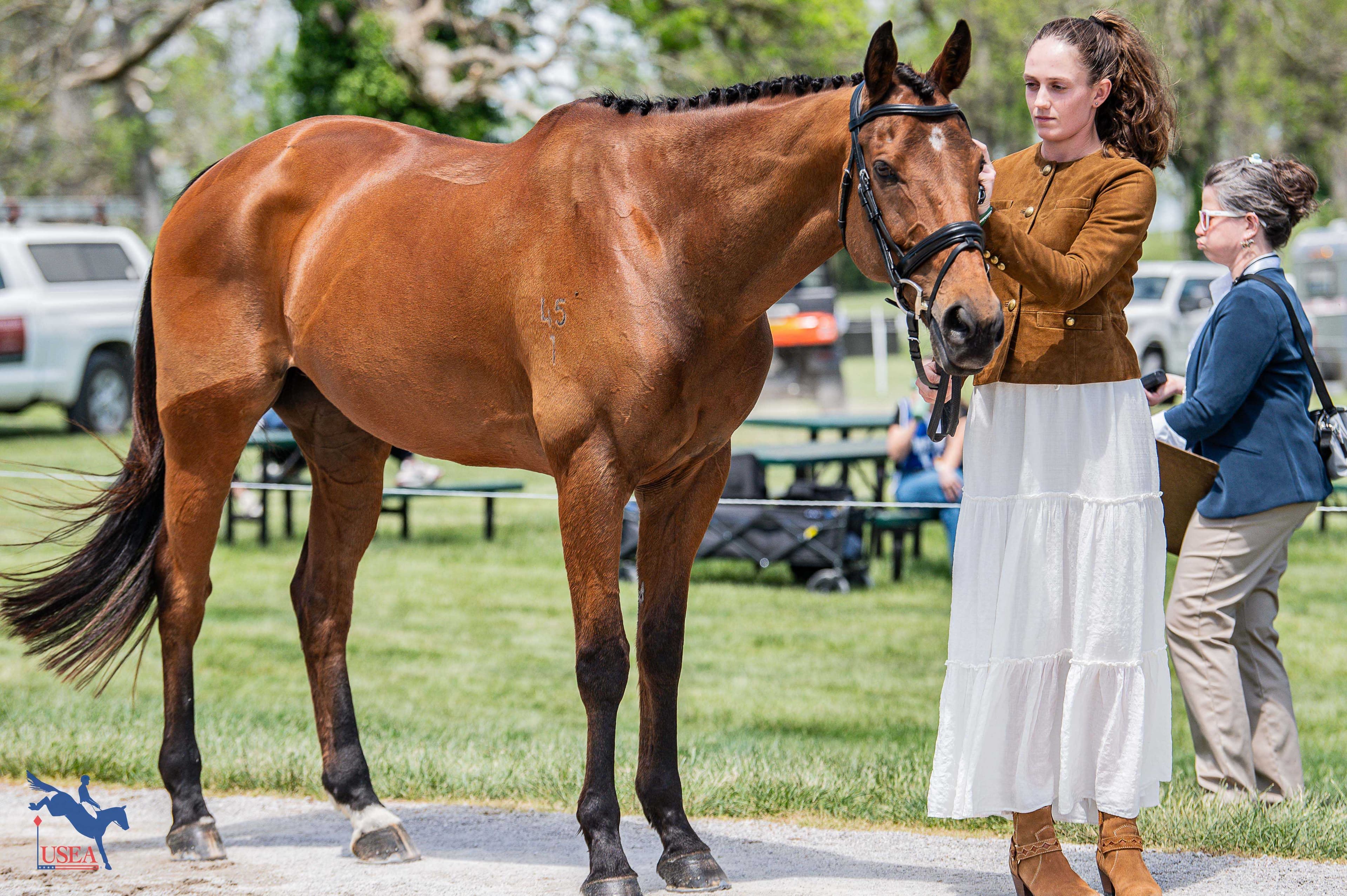 USEA/Meagan DeLisle photo