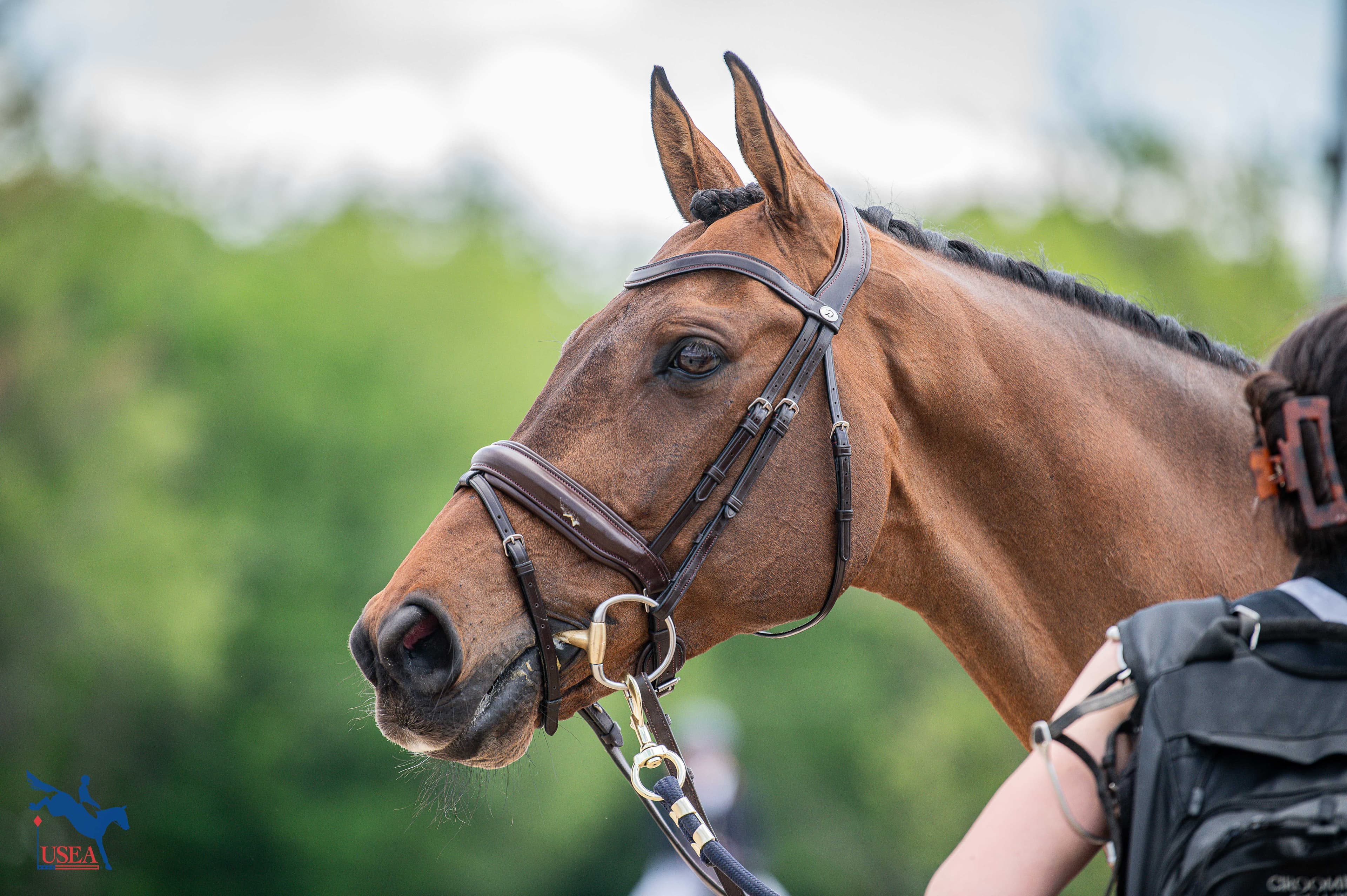 USEA/Meagan DeLisle photo