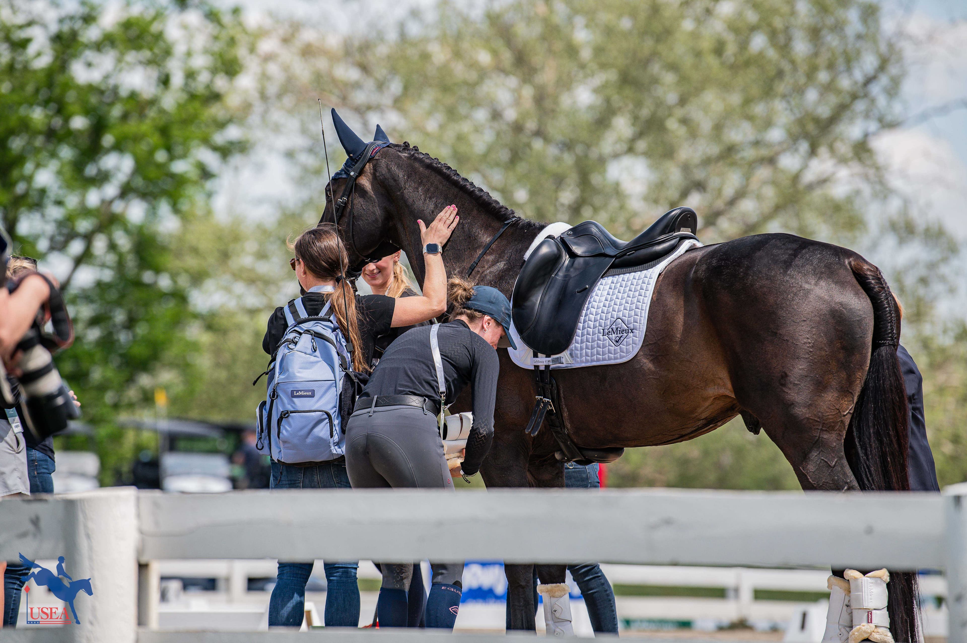 USEA/Meagan DeLisle photo