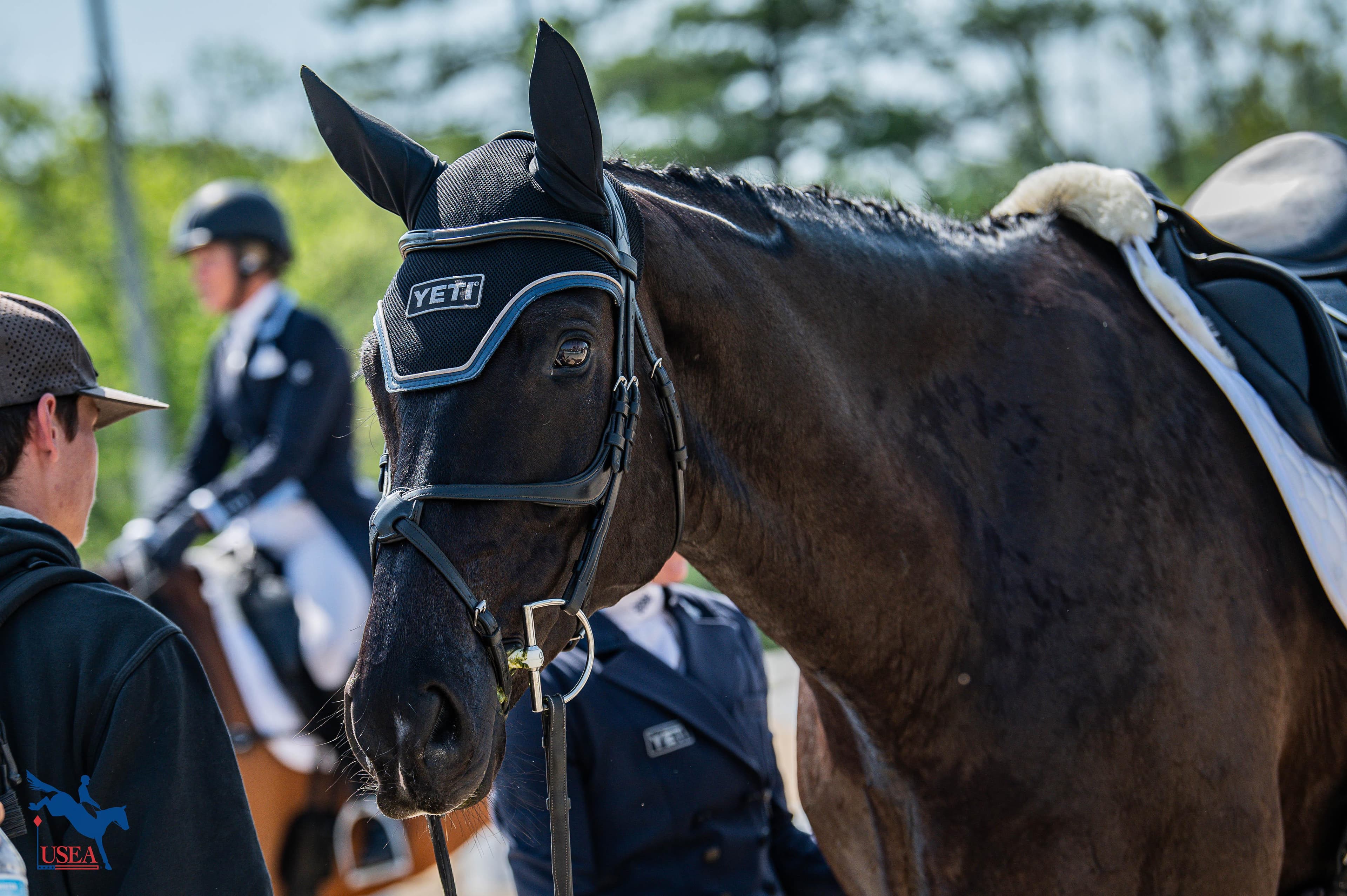 USEA/Meagan DeLisle photo