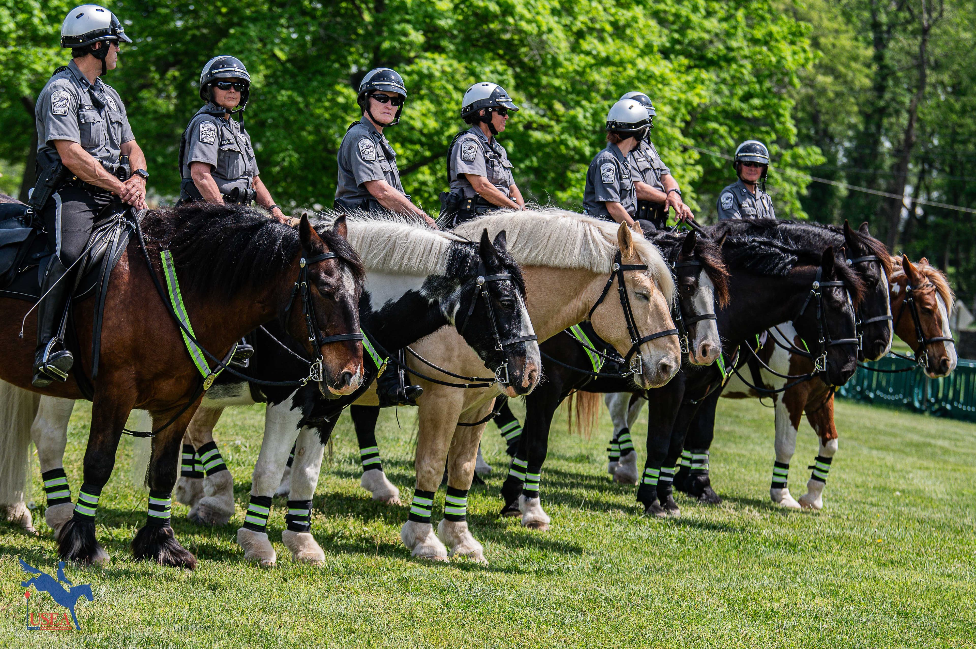 USEA/Meagan DeLisle photo