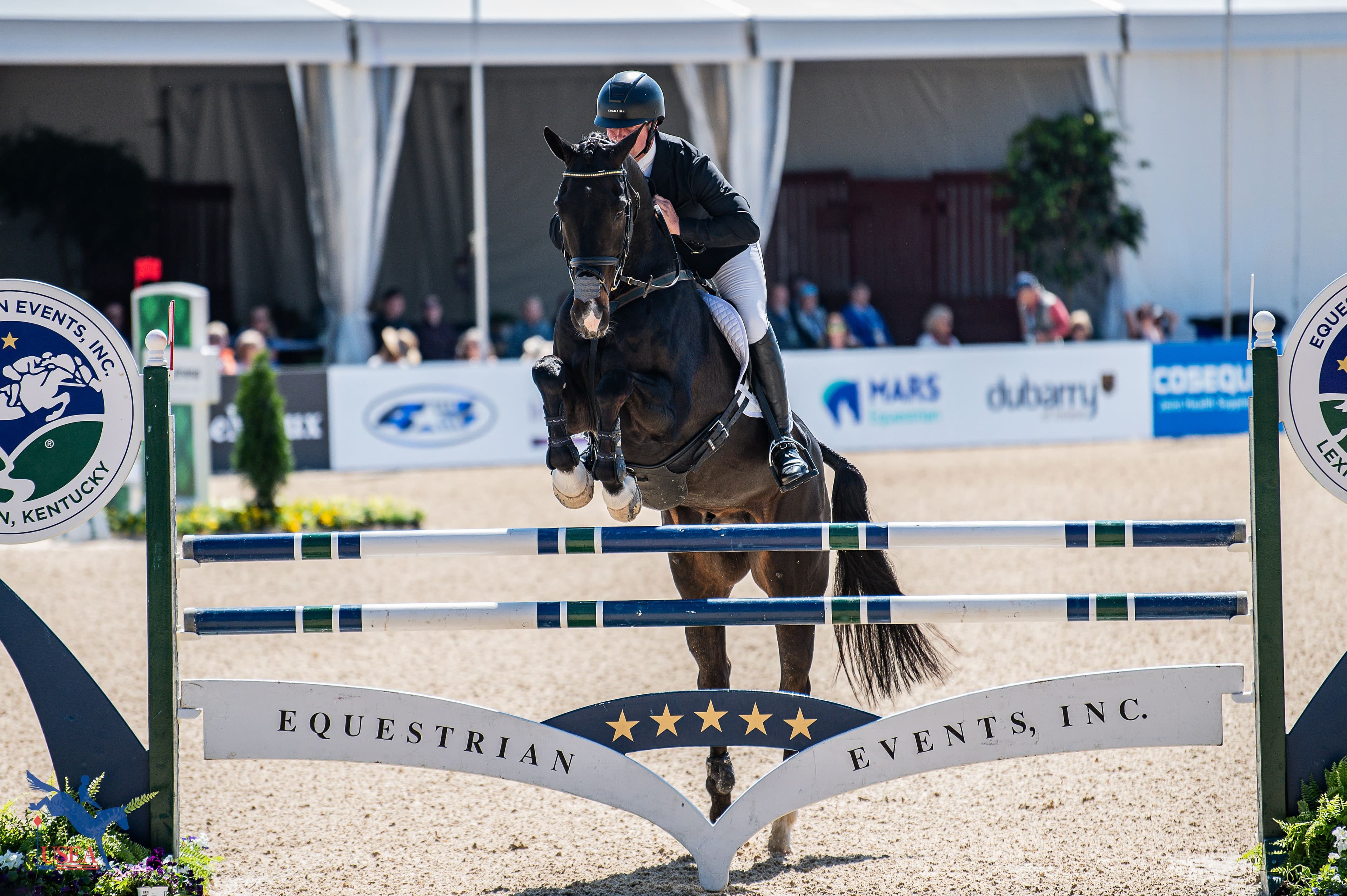 USEA/Meagan DeLisle photo