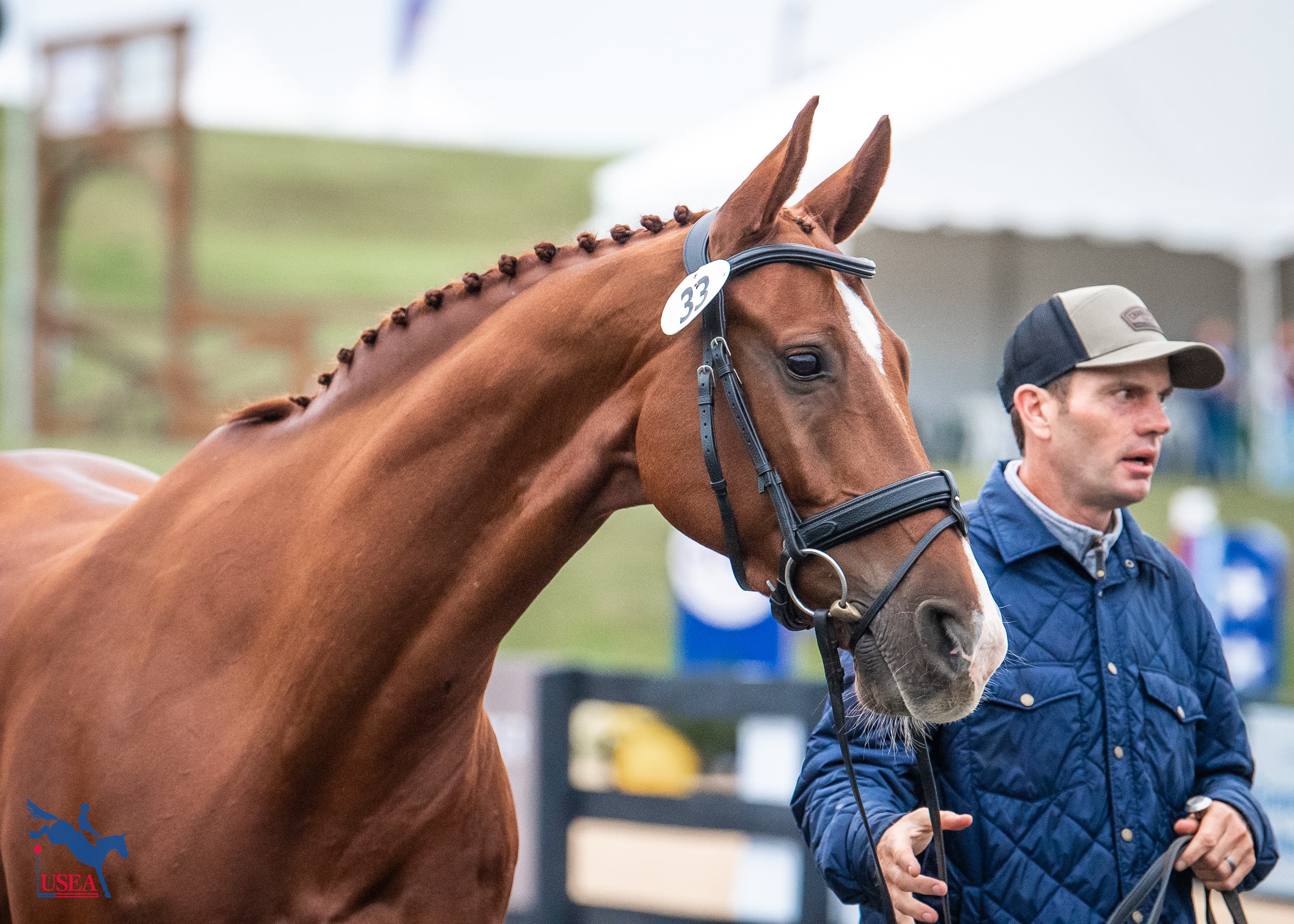 USEA/Lindsay Berreth photo