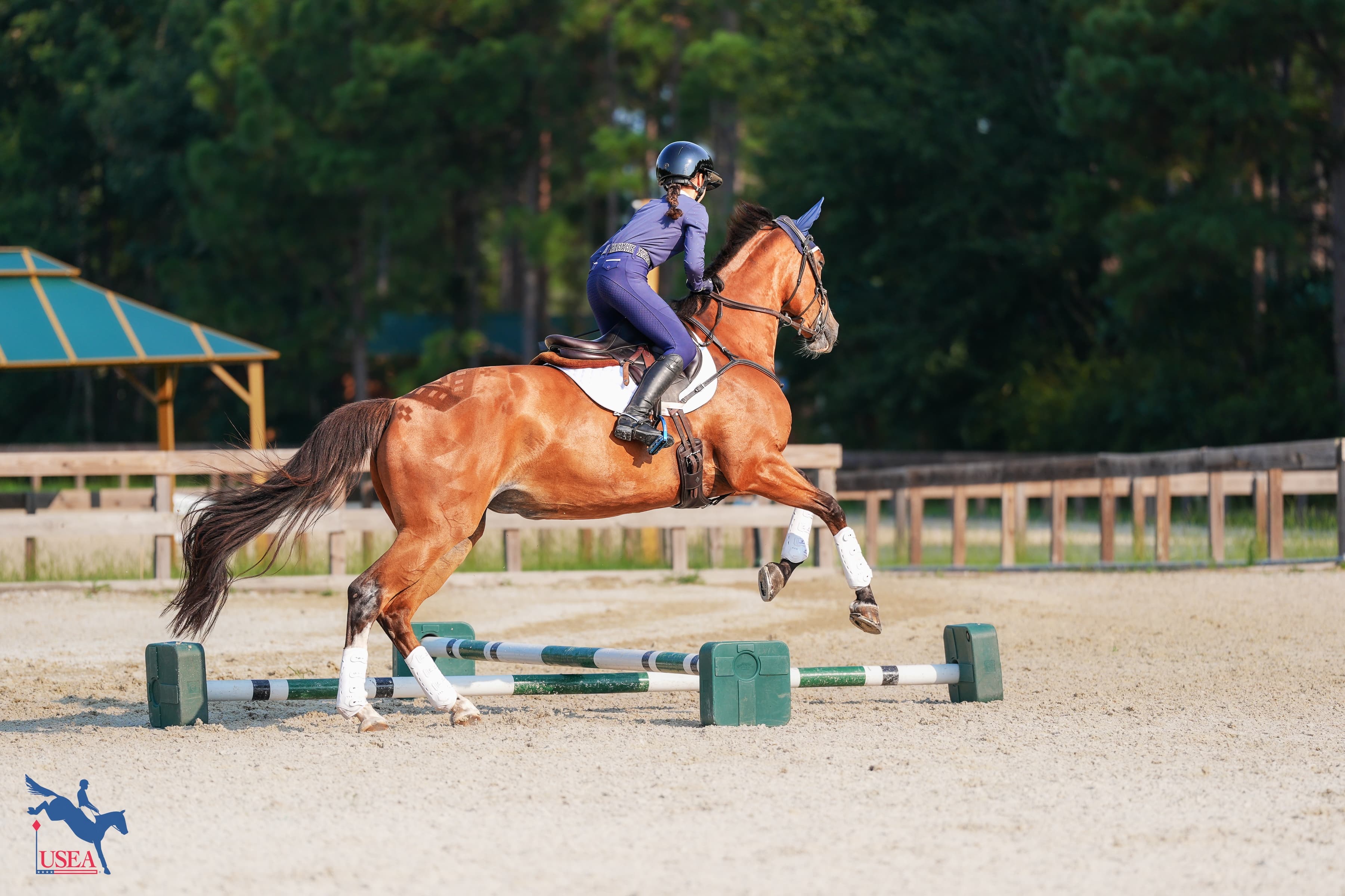 USEA/Christine Quinn photo