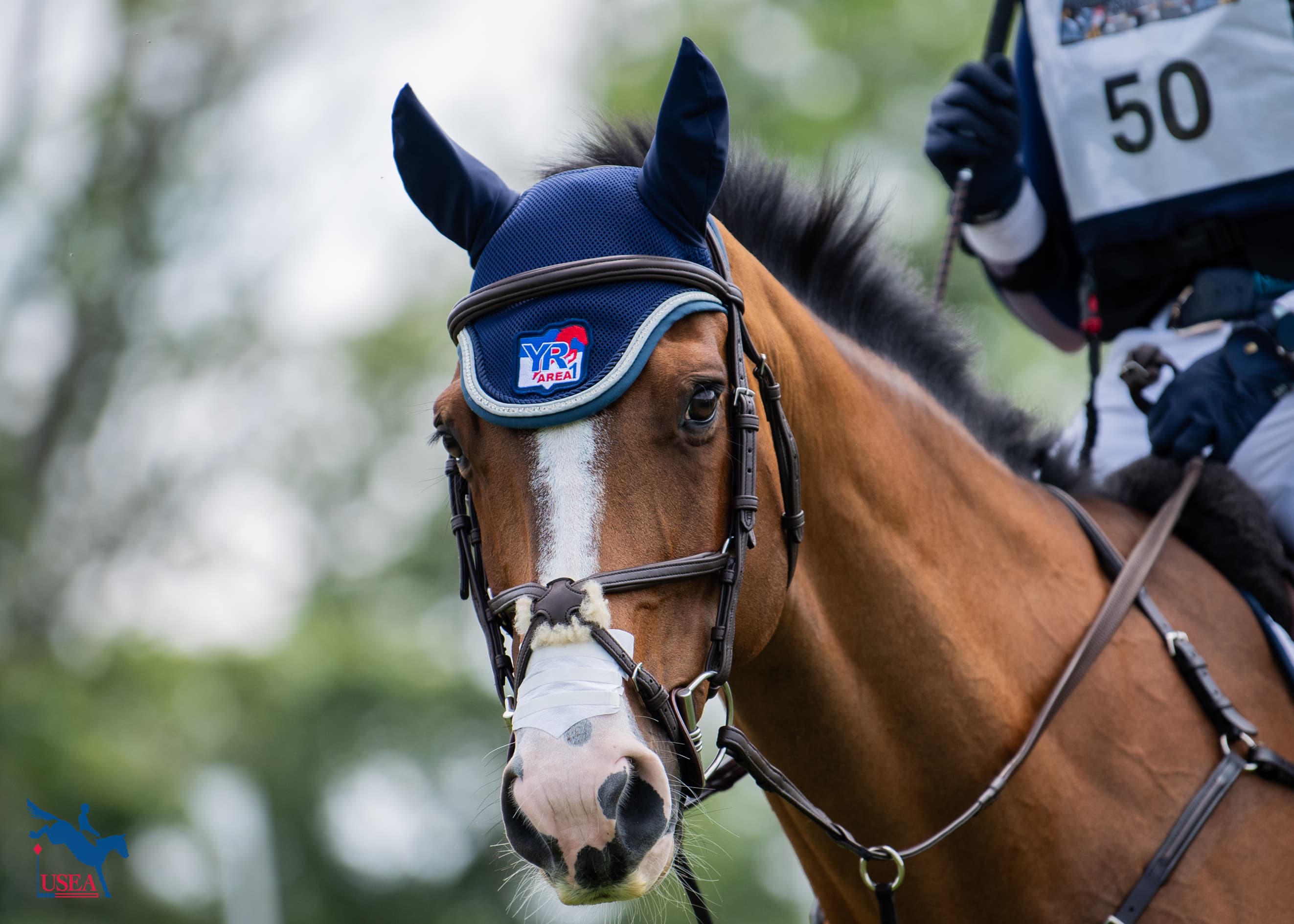 USEA/Lindsay Berreth photo