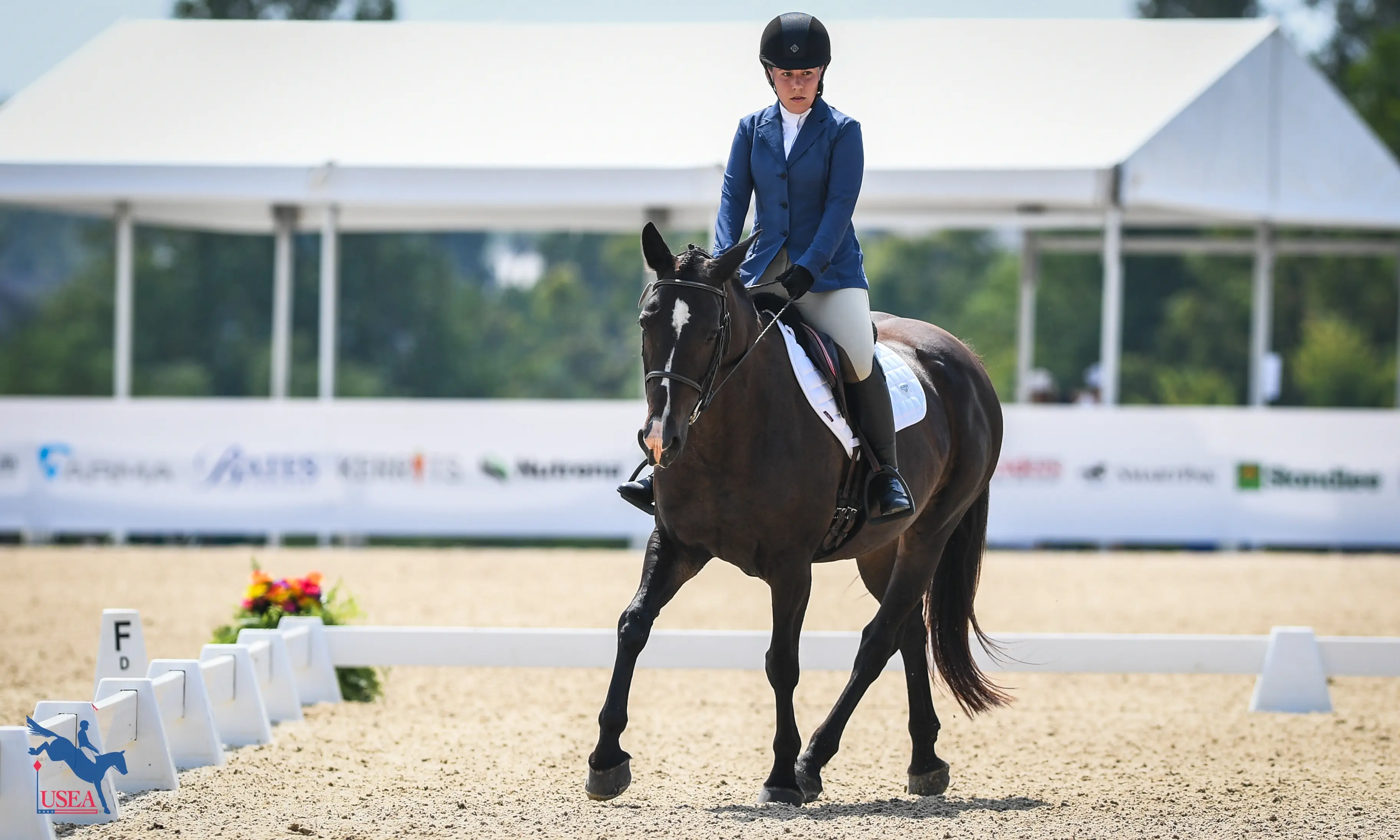 The Small Dressage Arena Quiz: Test Your Knowledge