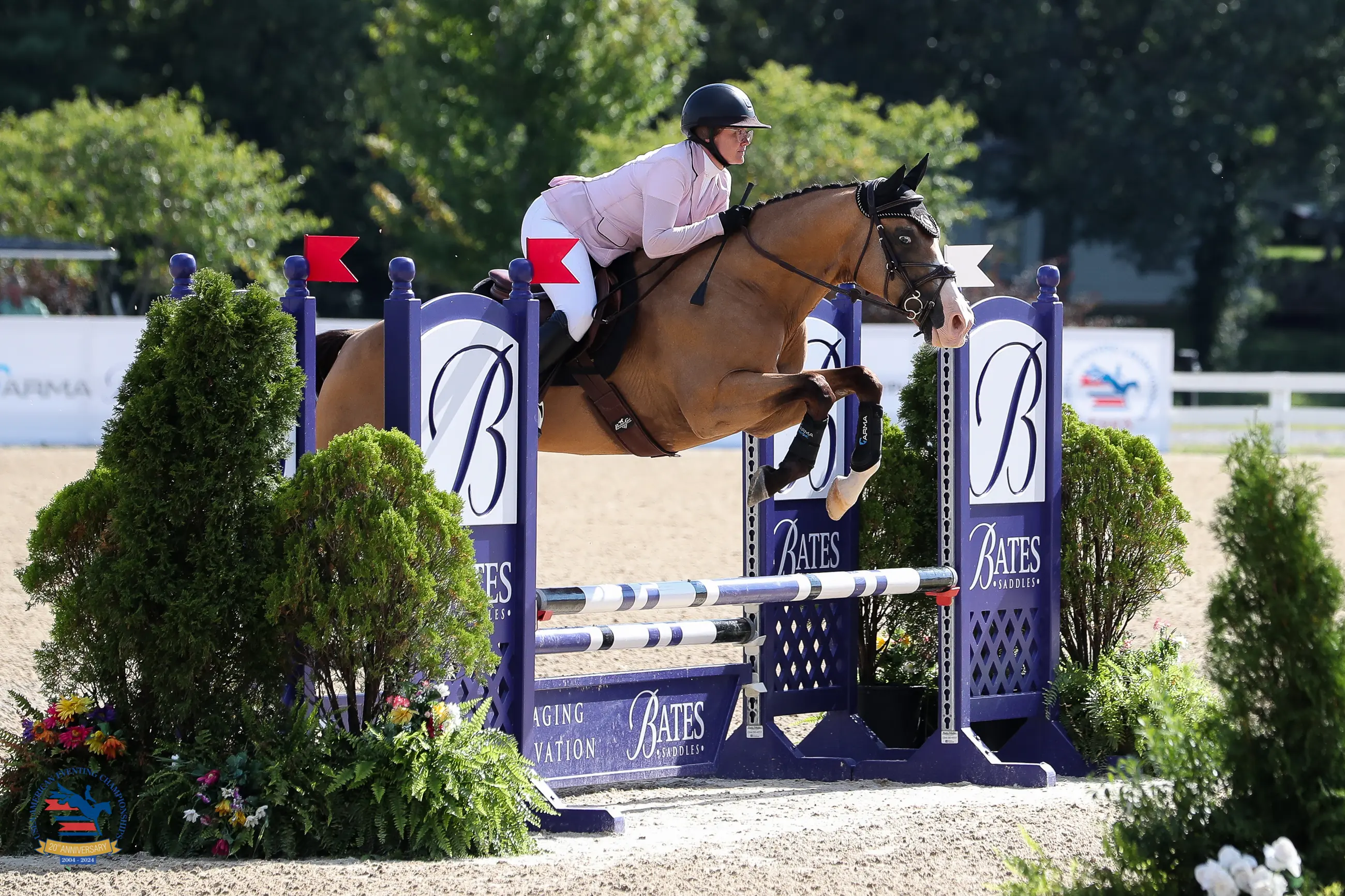 From Starter to Advanced: Big Rewards Await Across All Divisions at the 2025 USEA AEC