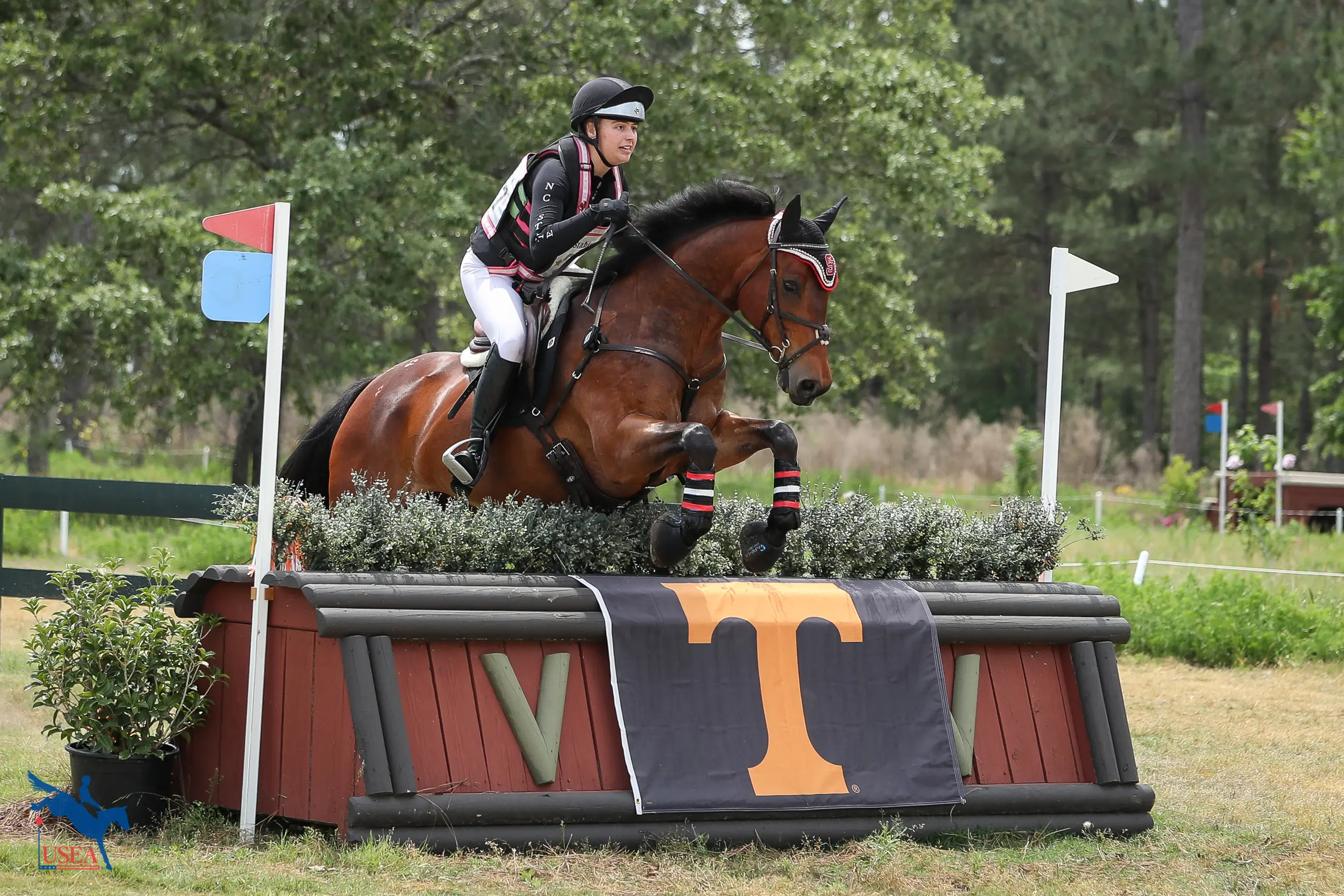 USEA/Annan Hepner photo