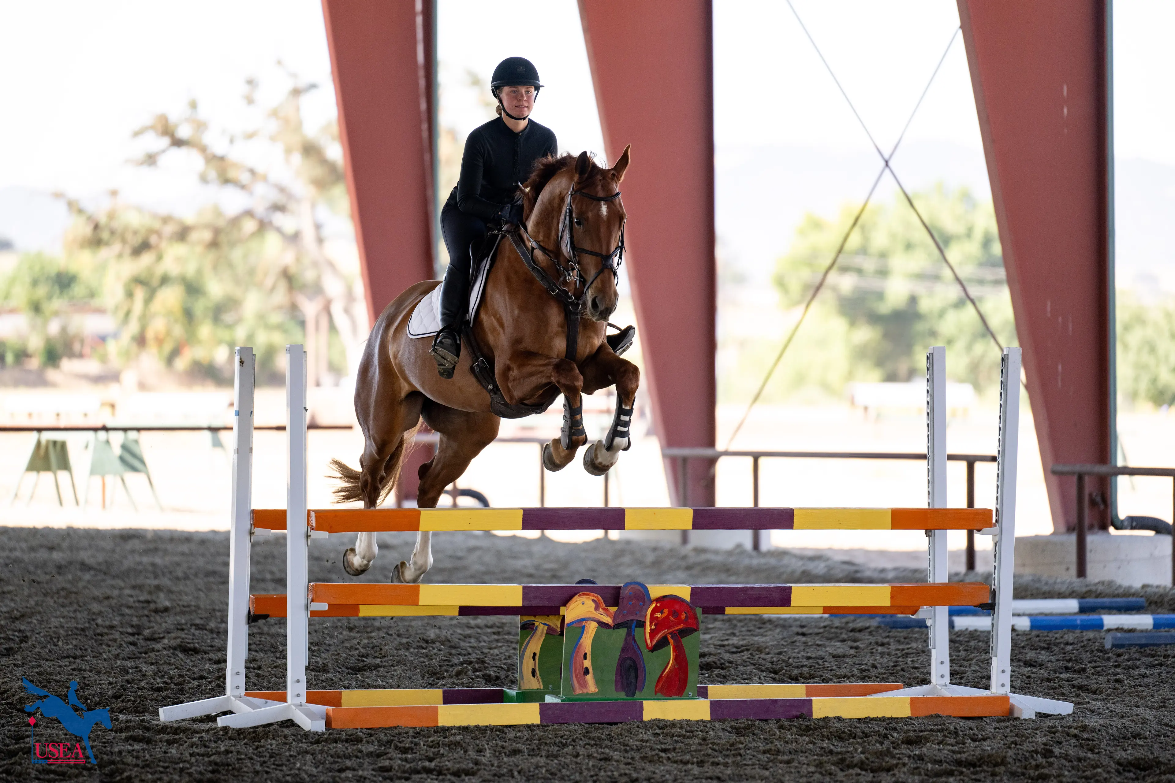 USEA/Atalya Boytner photo