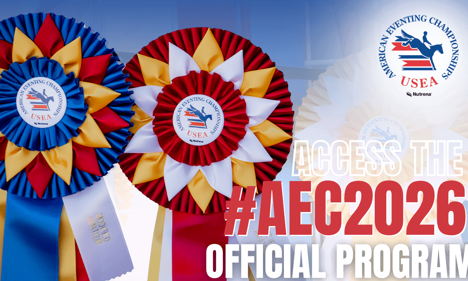 Access the #AEC2026 Official Program